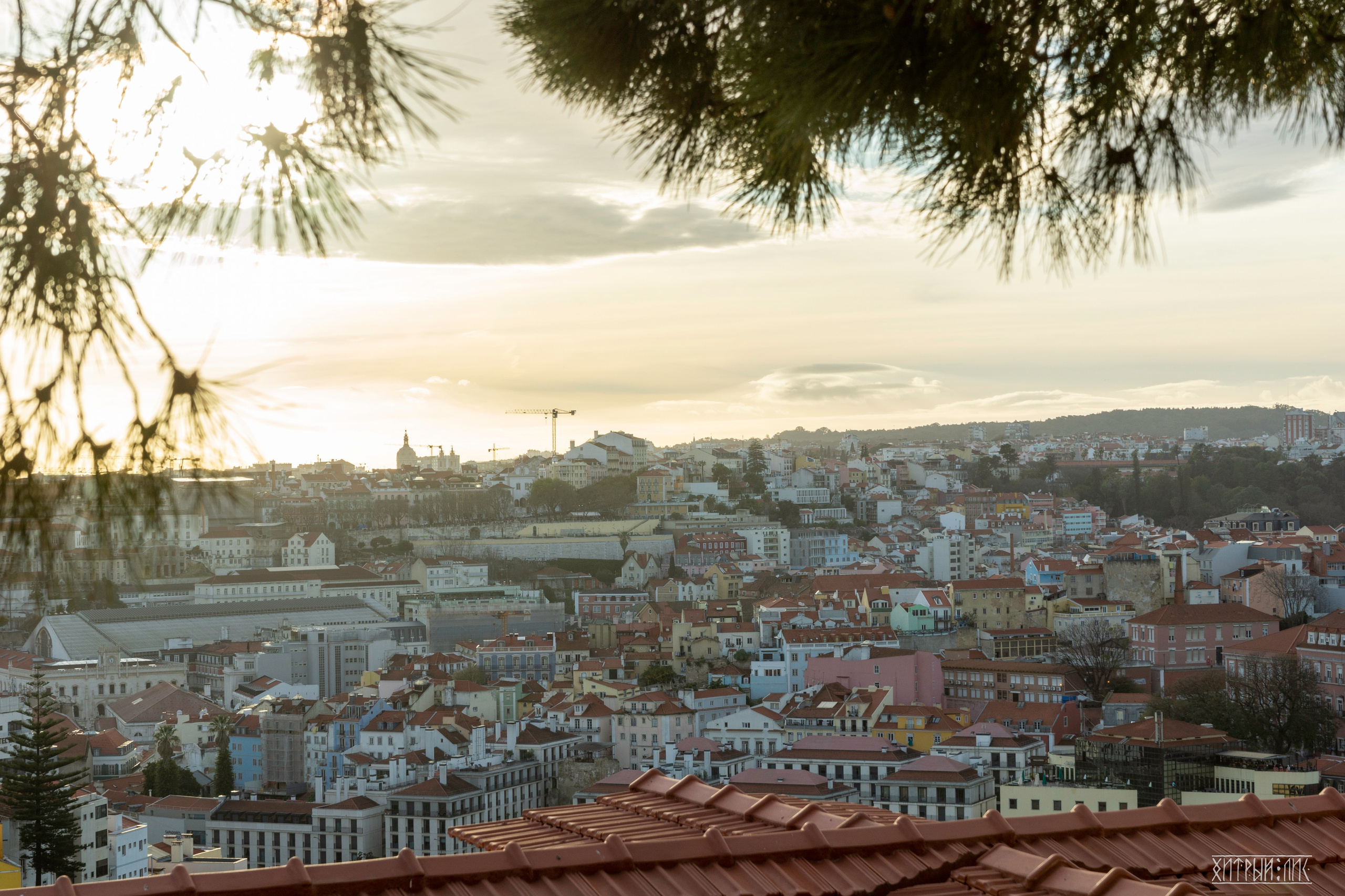 Лиссабон. Фотограф-путешественник Самойлов Максим «Sly Fox»