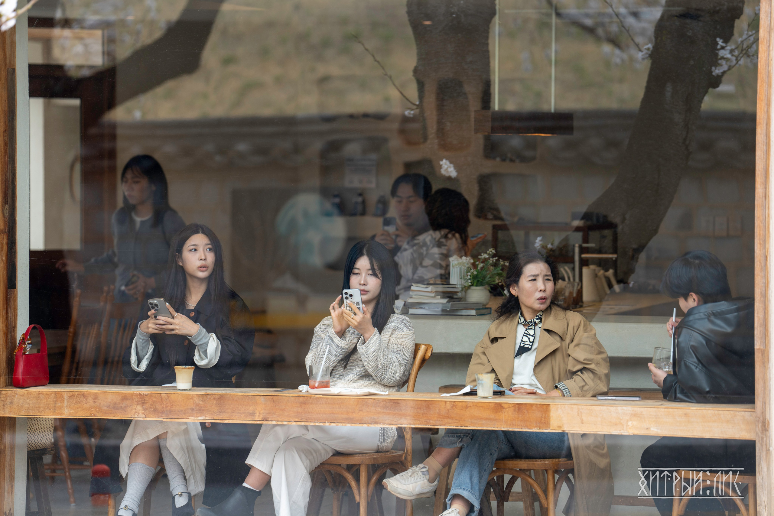 Южная Корея. Фотограф-путешественник Самойлов Максим «Sly Fox»