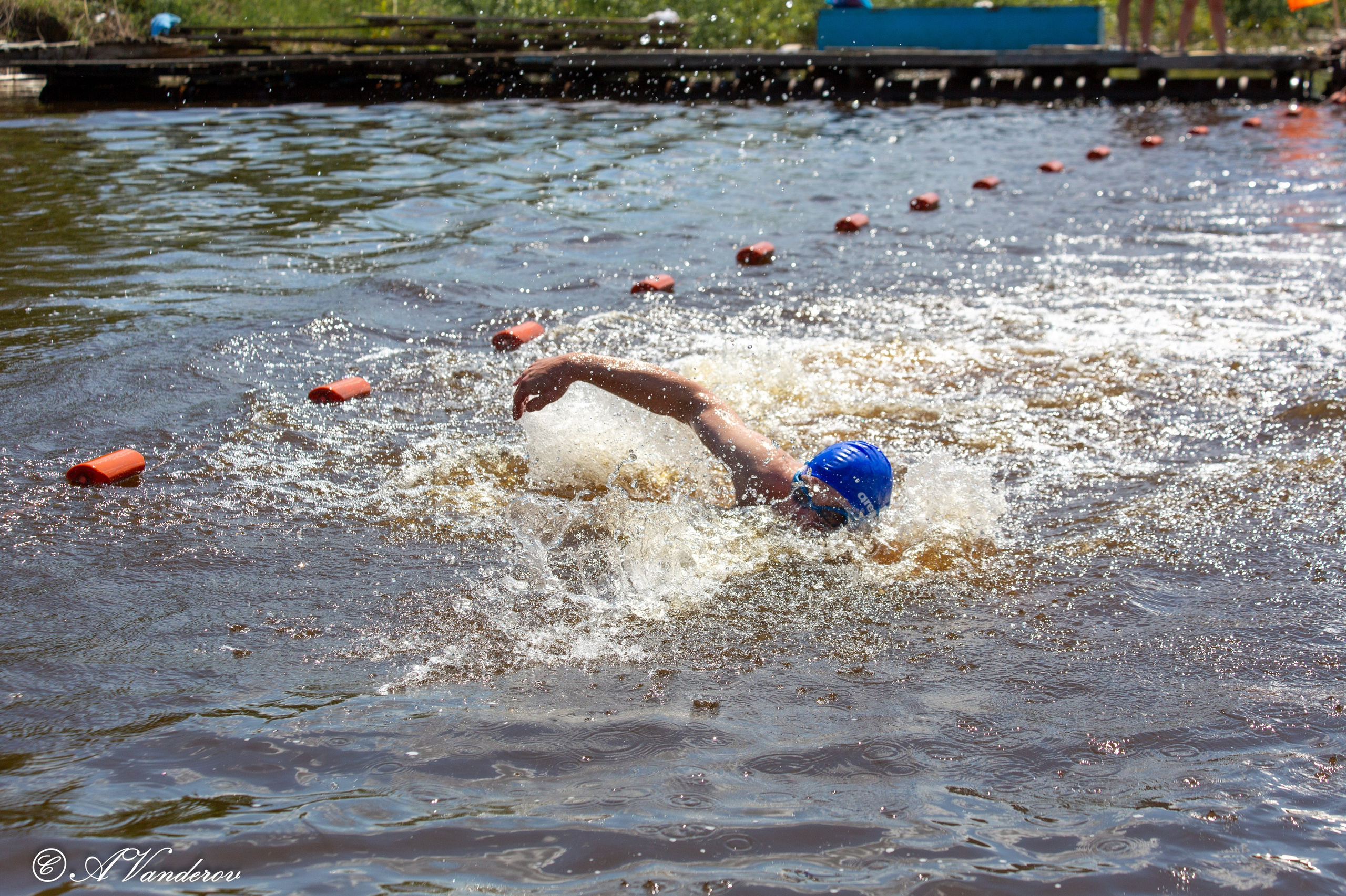 Заплыв 02.06.2024. Фотограф Омск | Александр Вандеров