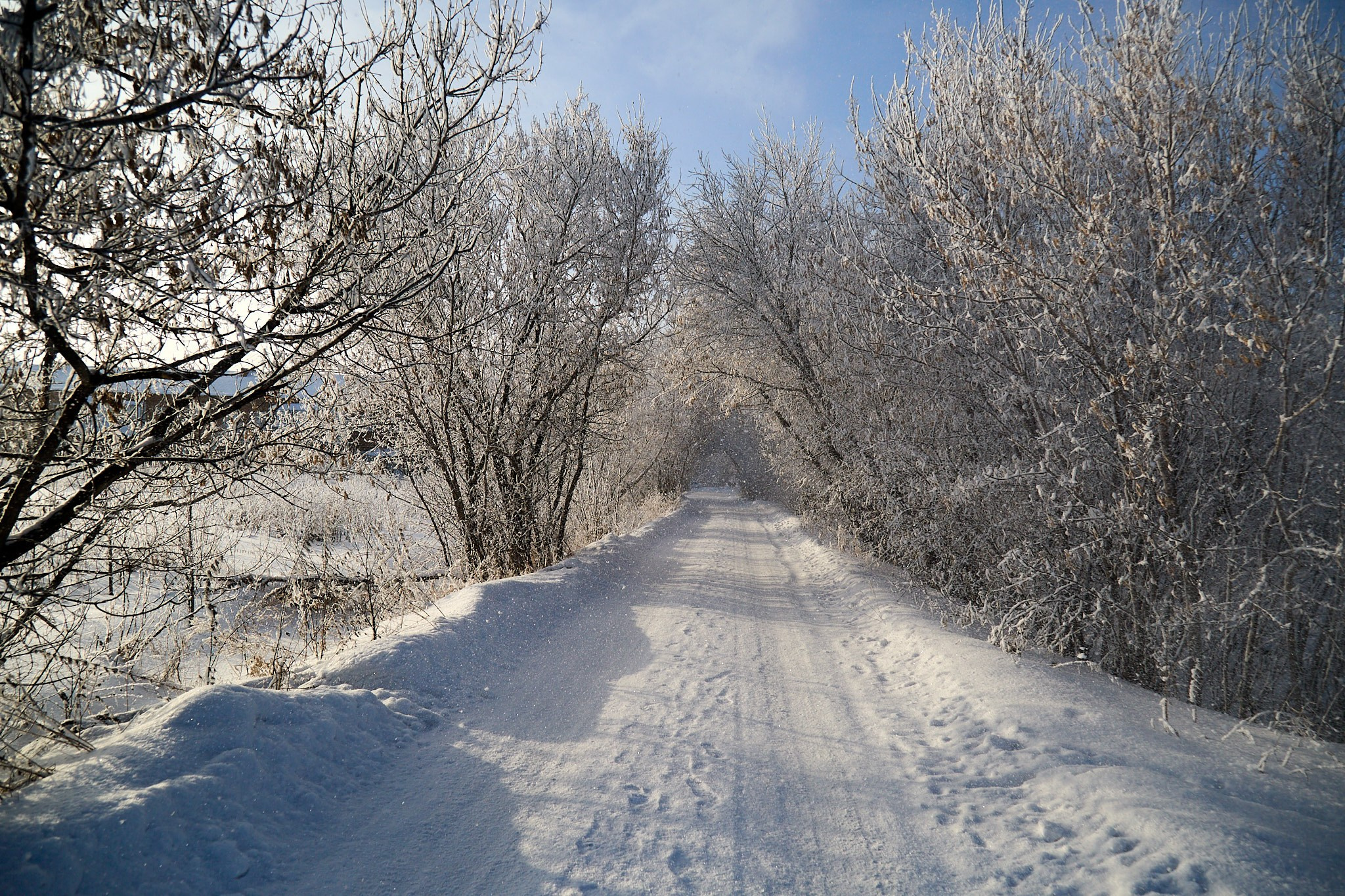 Предновогодняя сказка. Фотограф Омск | Александр Вандеров