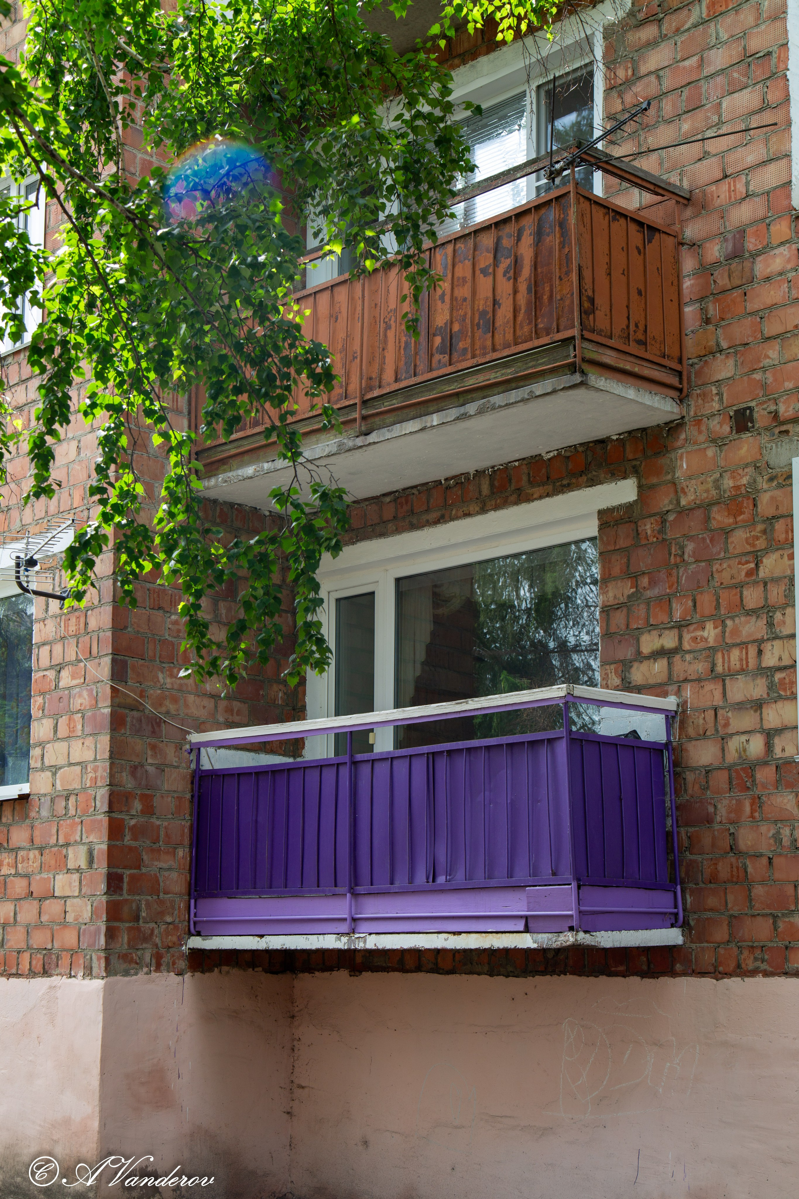 Калачинск 07.07.2024. Фотограф Омск | Александр Вандеров