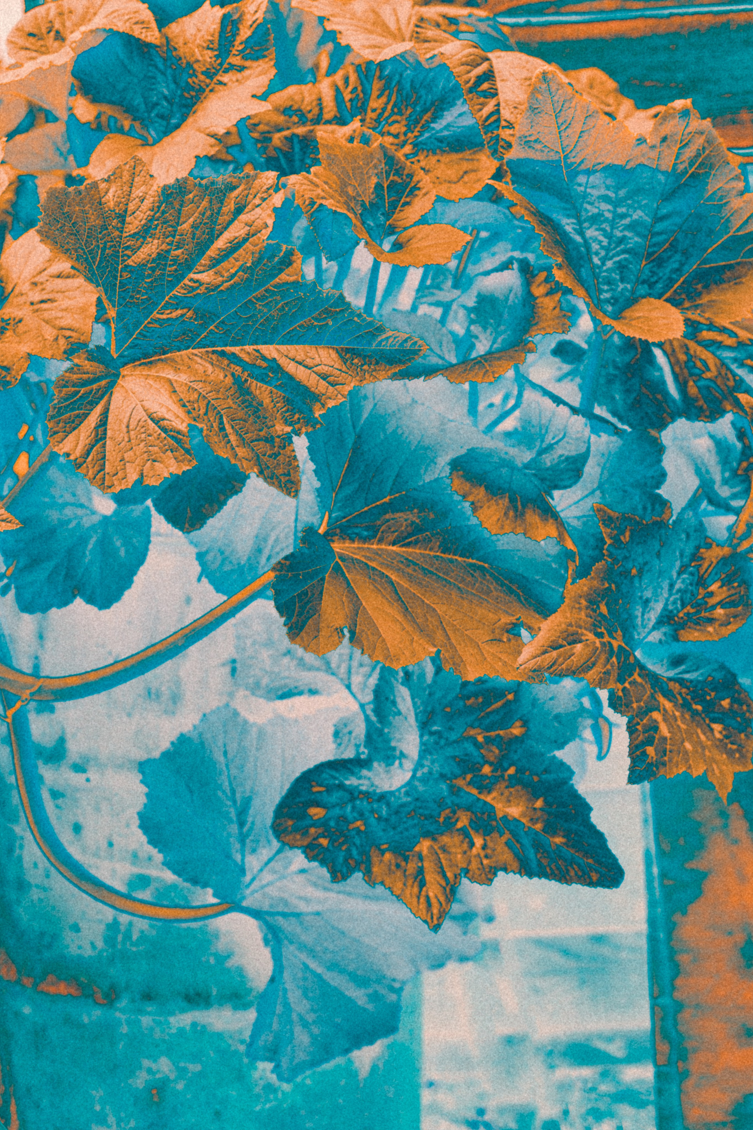 NON-EXISTENT FLOWERS. Фотограф Евгений Чащихин RGB АРХИТЕКТОР в Перми