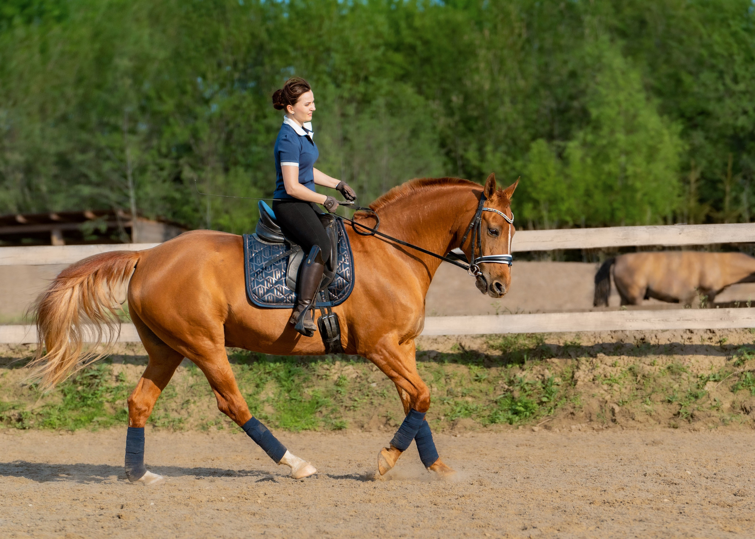 Тренировка. Фотограф Дарья Соколовская