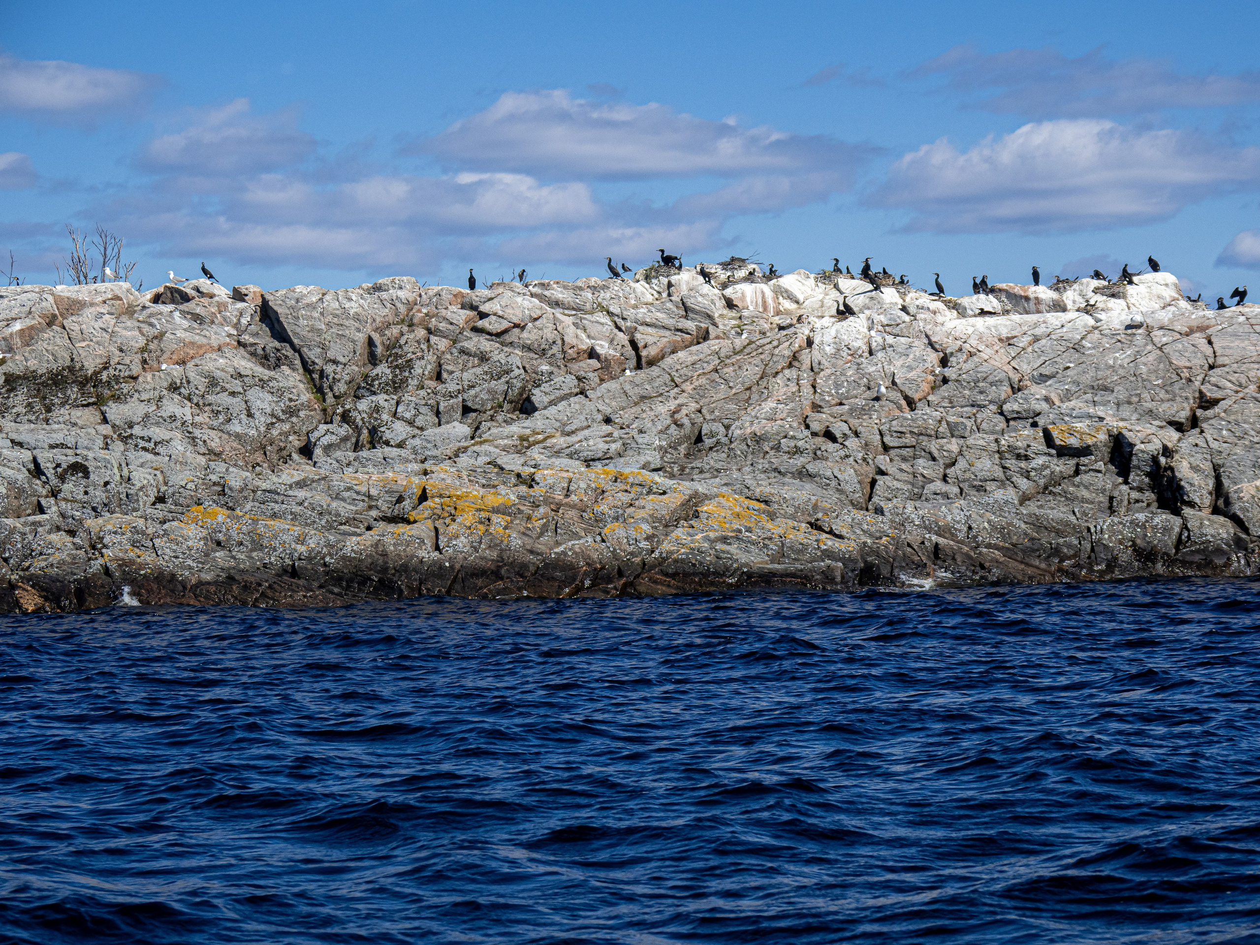 Кронштадт-Сортавала-Валаам-Выборг. Творческие сьемки