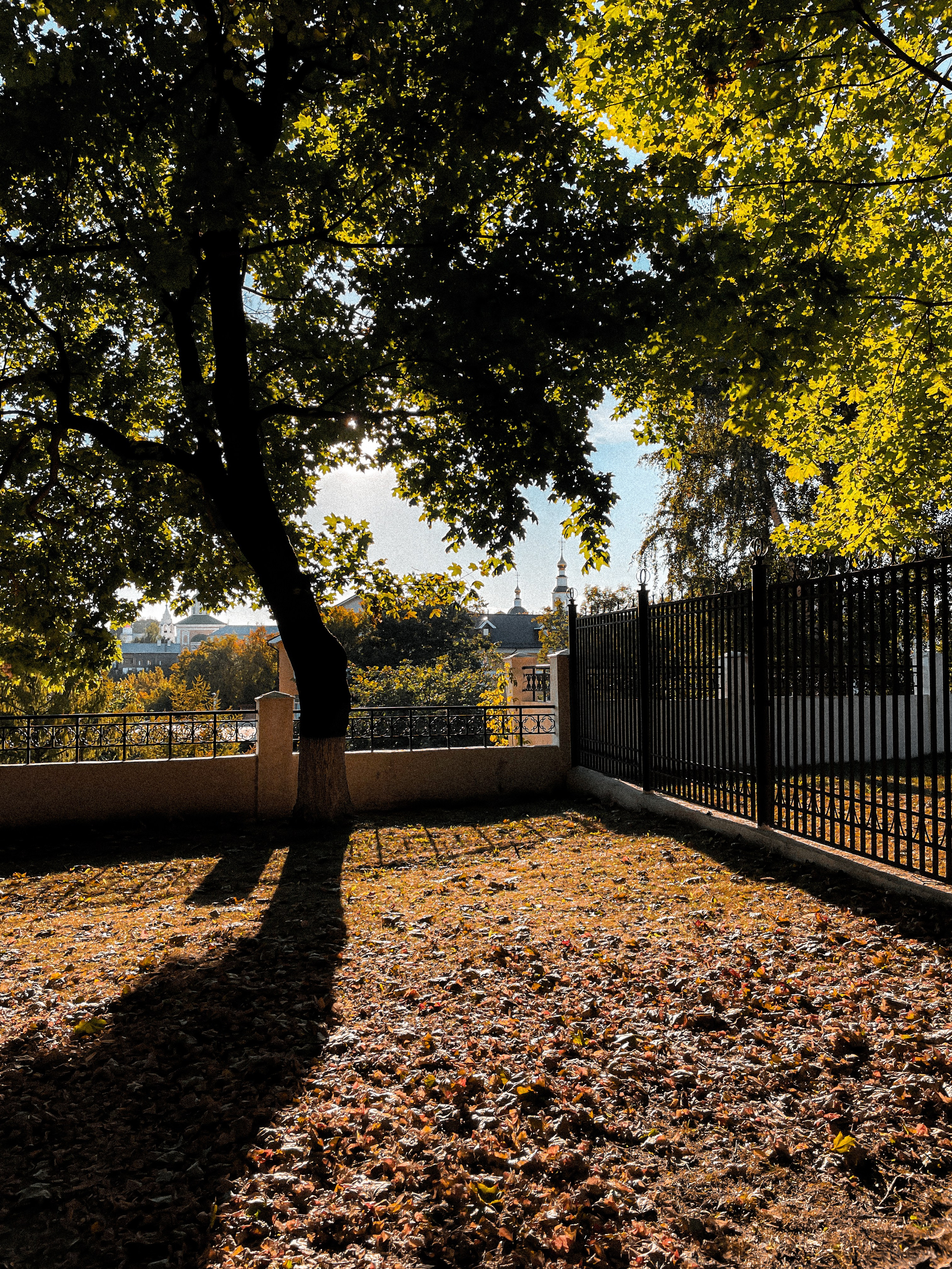 Город Владимир 2024. Фотограф Илья Варакин