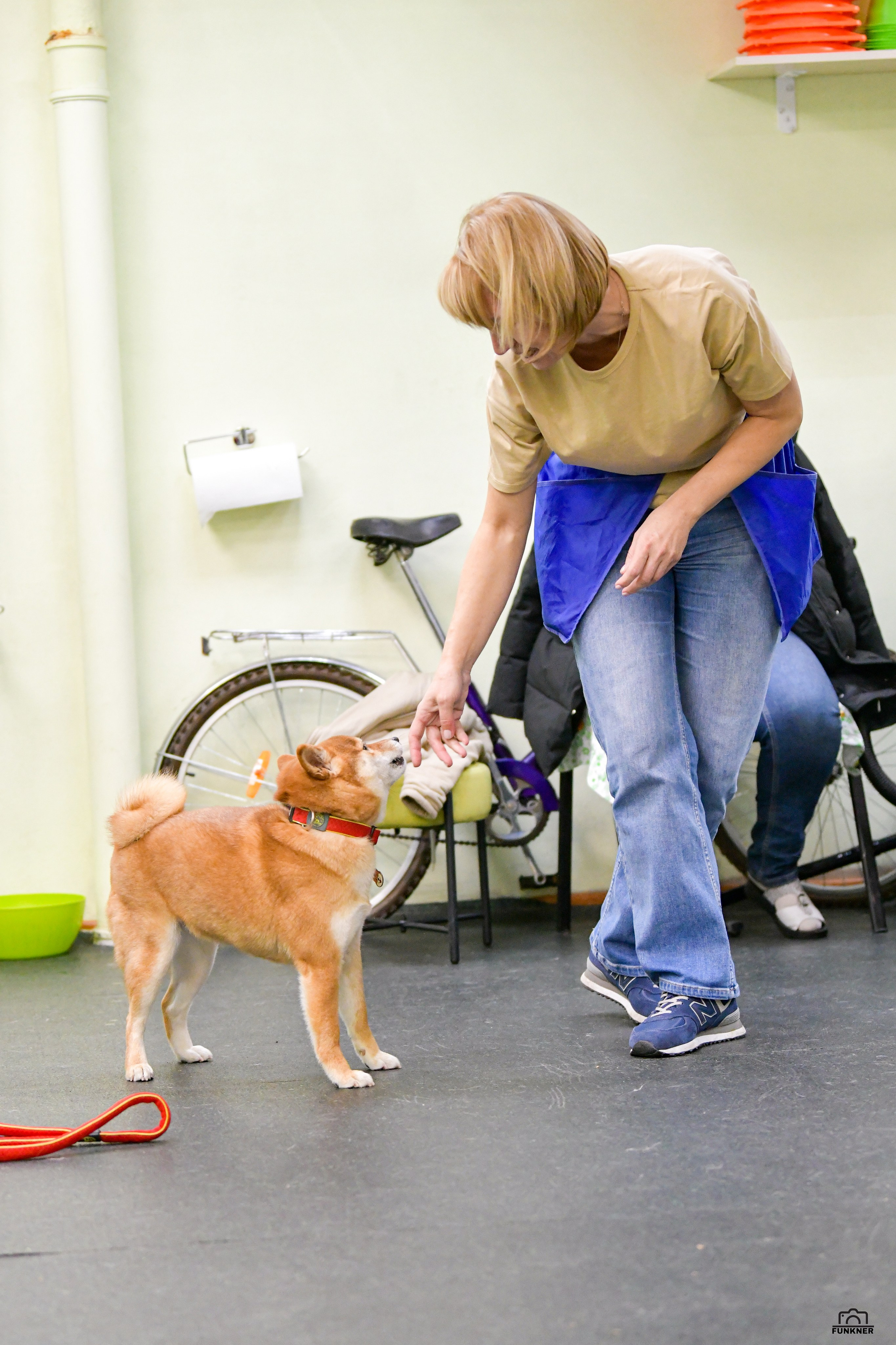 Кинологический клуб «Бодрый хвост». Свой взгляд через объектив