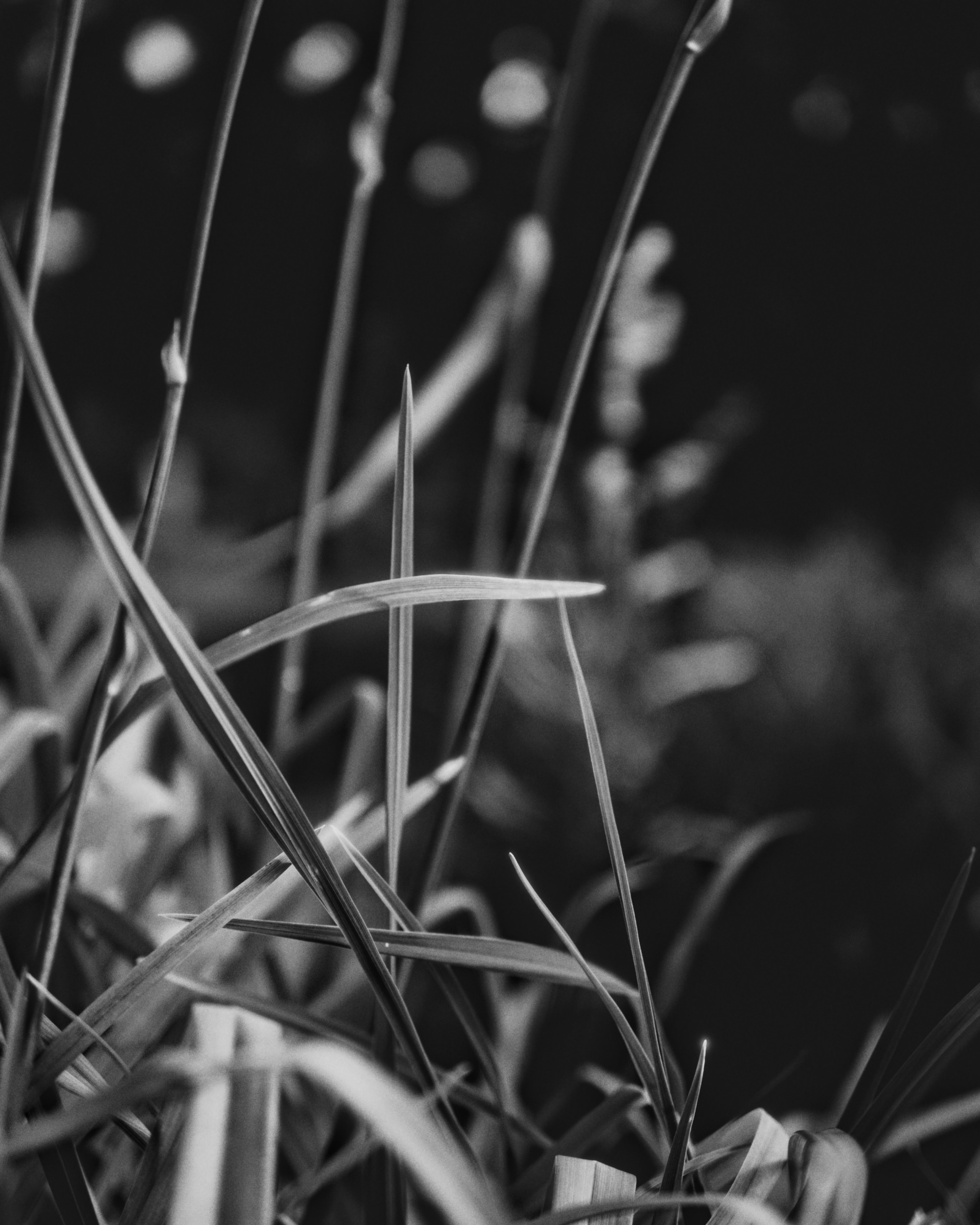 Портретная фотосессия в азиатском стиле