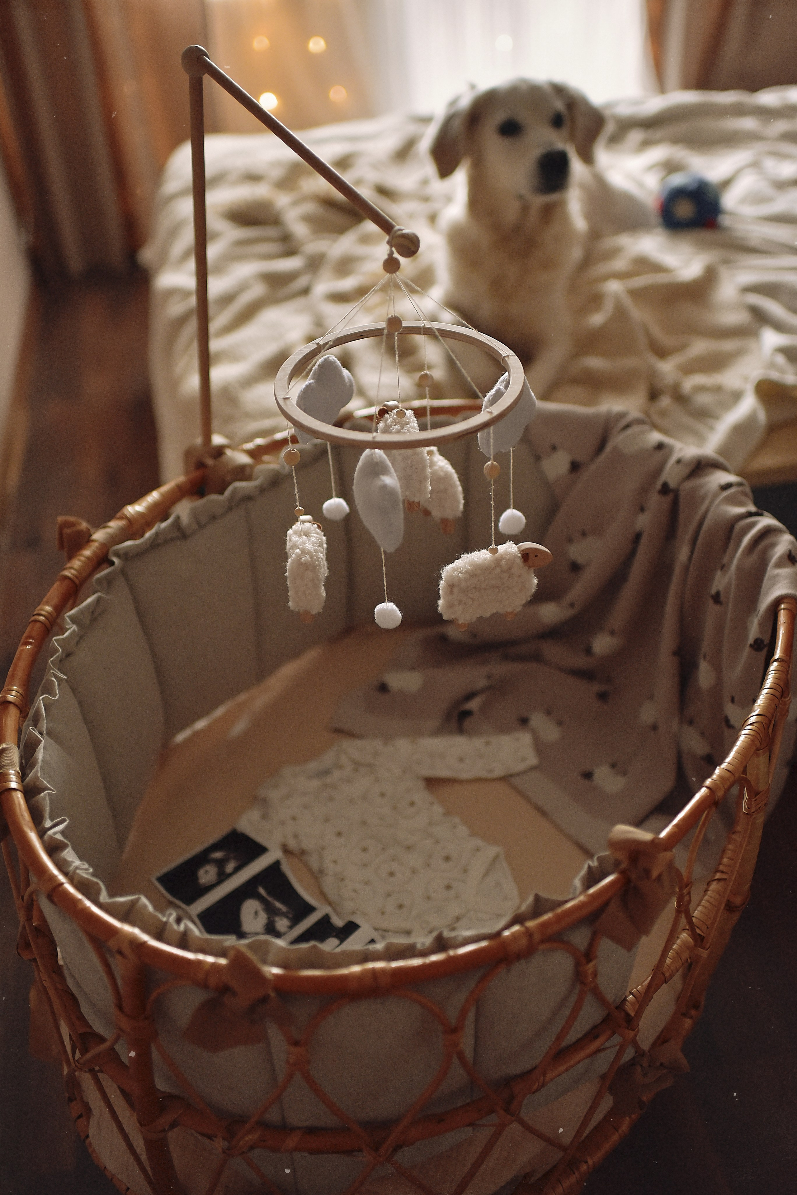 МАРГО, САША и ШАНТИ | скоро нас станет больше. Свадебный и семейный фотограф РИТА БОЧКАРЁВА