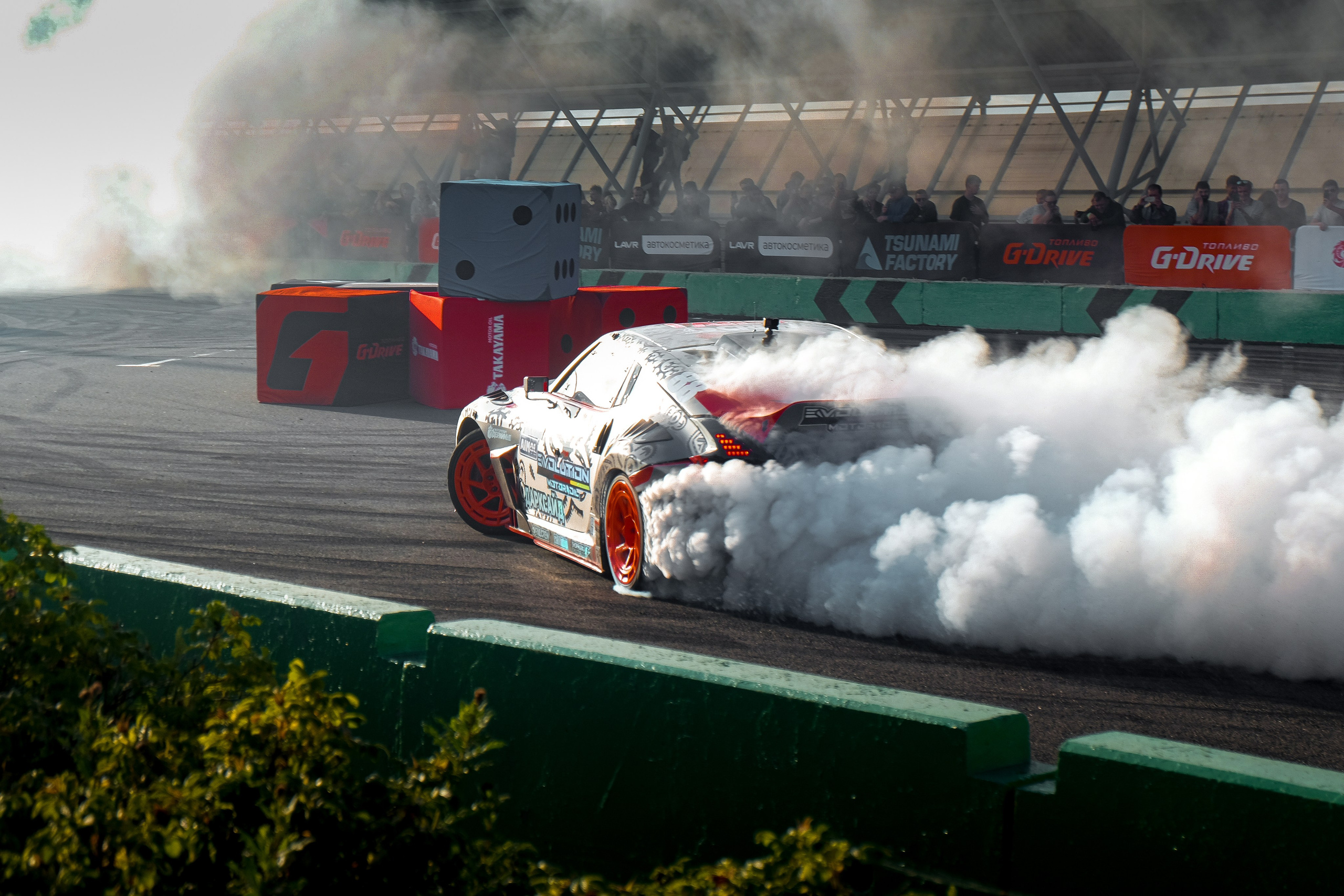 Tsunami Picnic 2024. Александр Попов