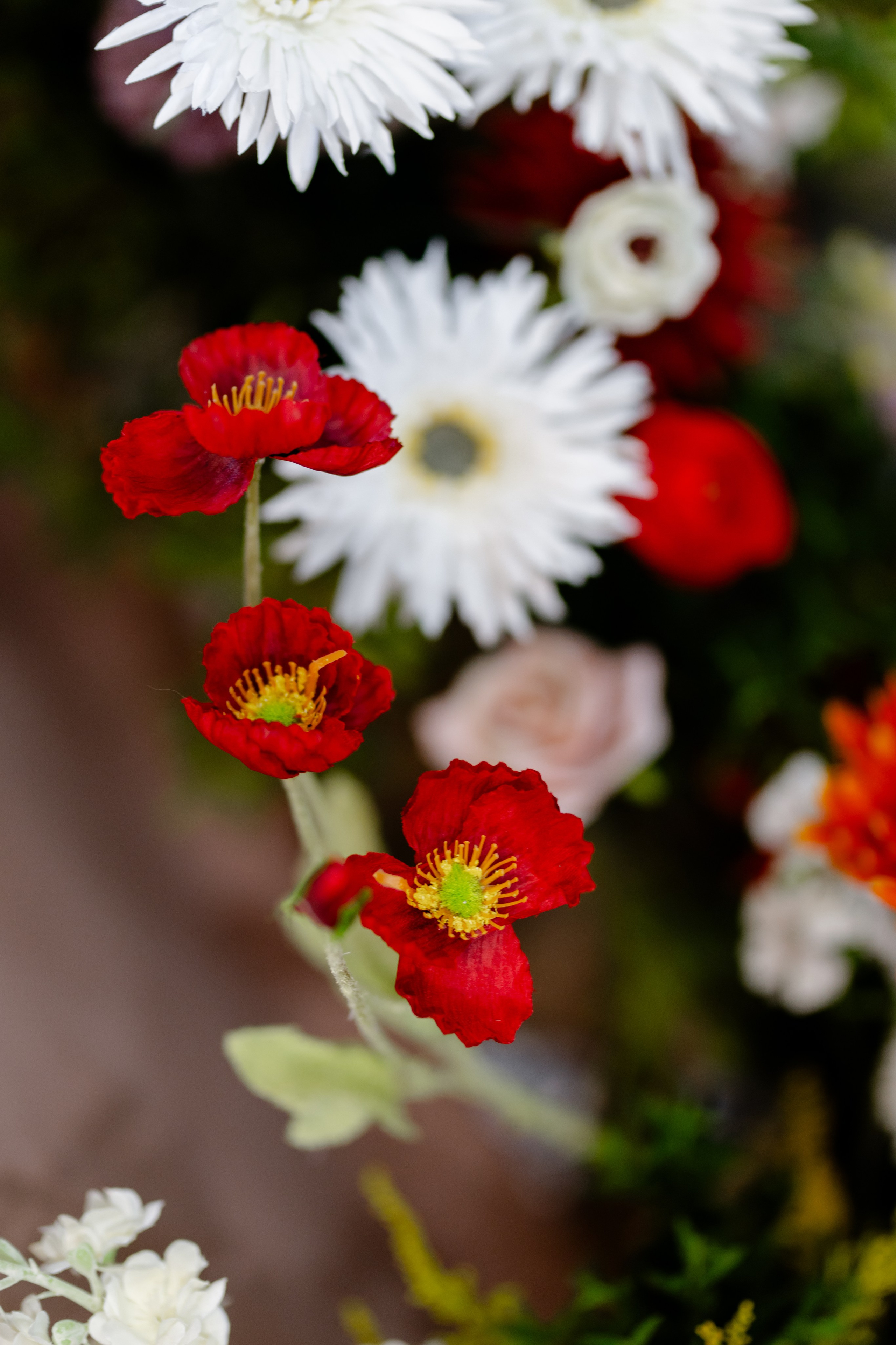 Антон и Наташа. Свадебный фотограф Анна Бабахина