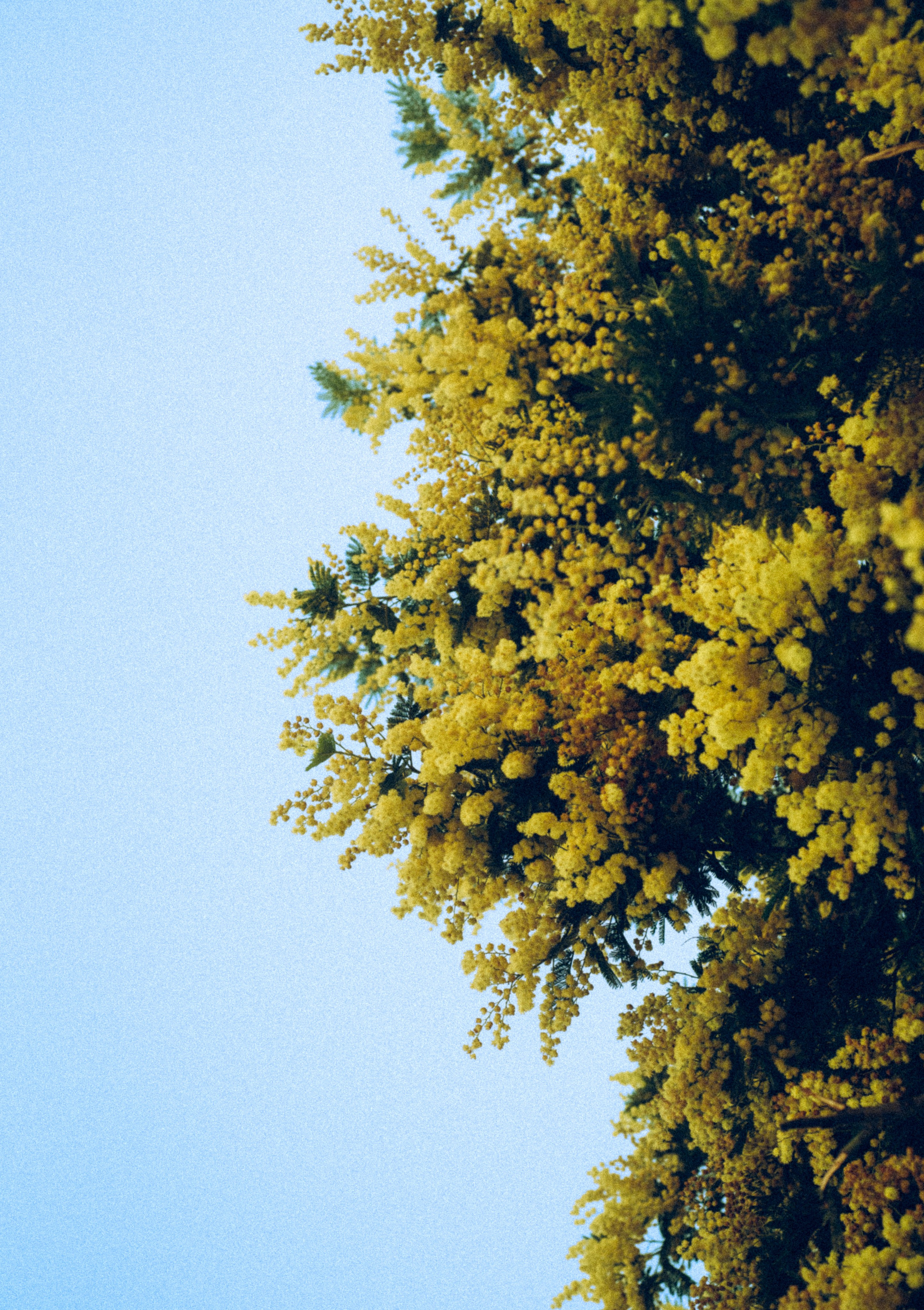 Батуми, Грузия🇬🇪. Anita_photo