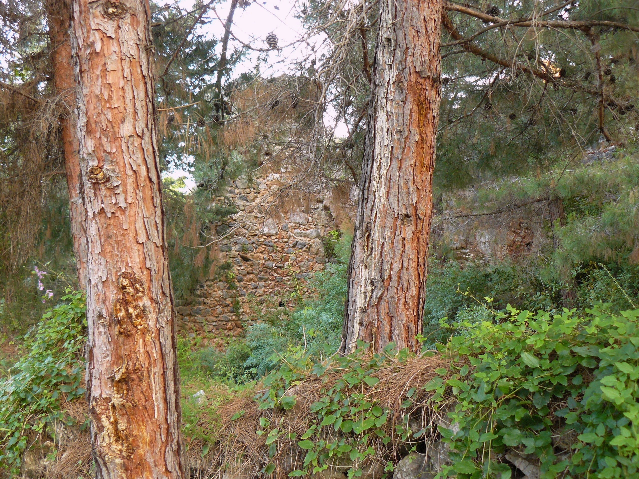 Алания 2014 старая крепость. Фотопрогулки по Миру