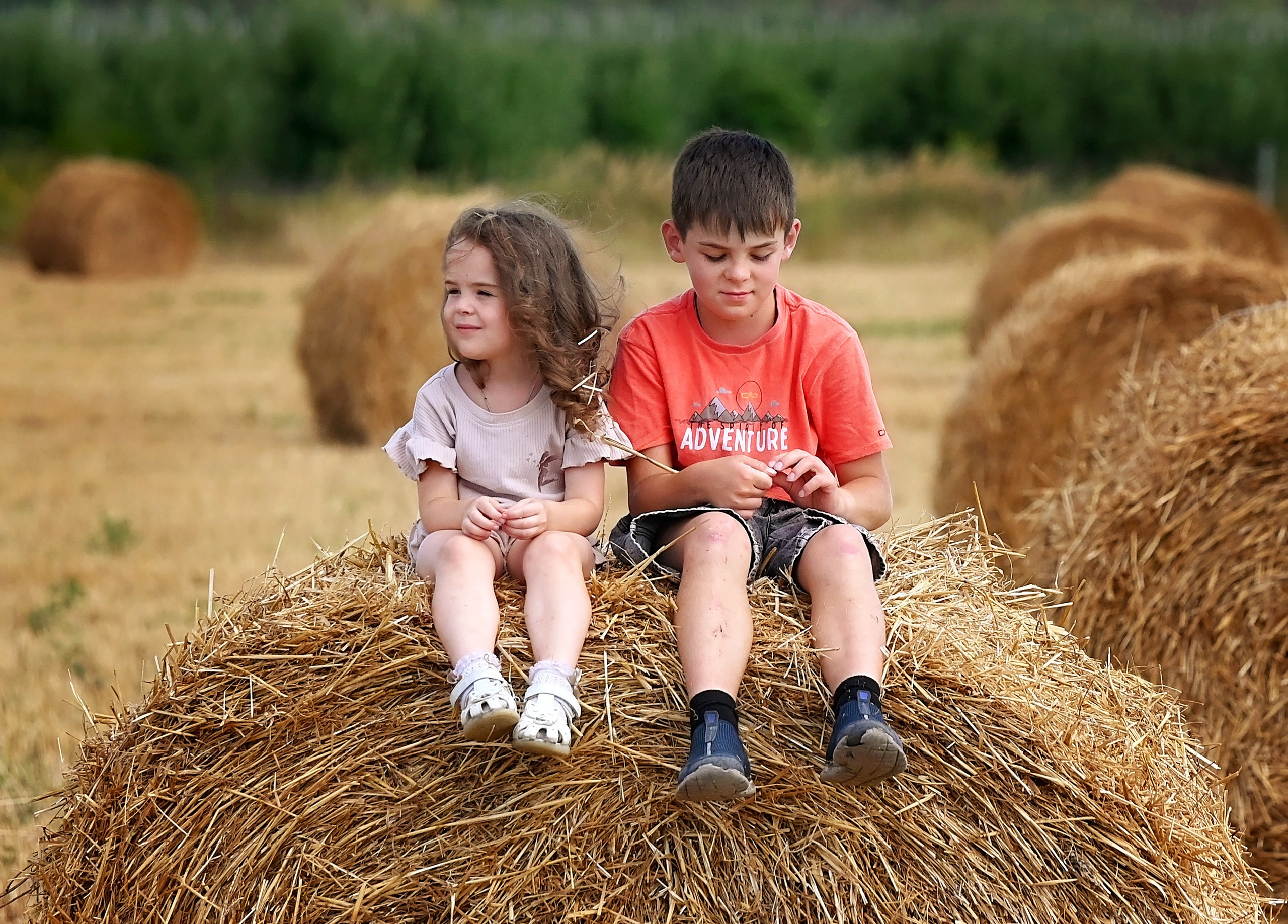 Сено. Главная