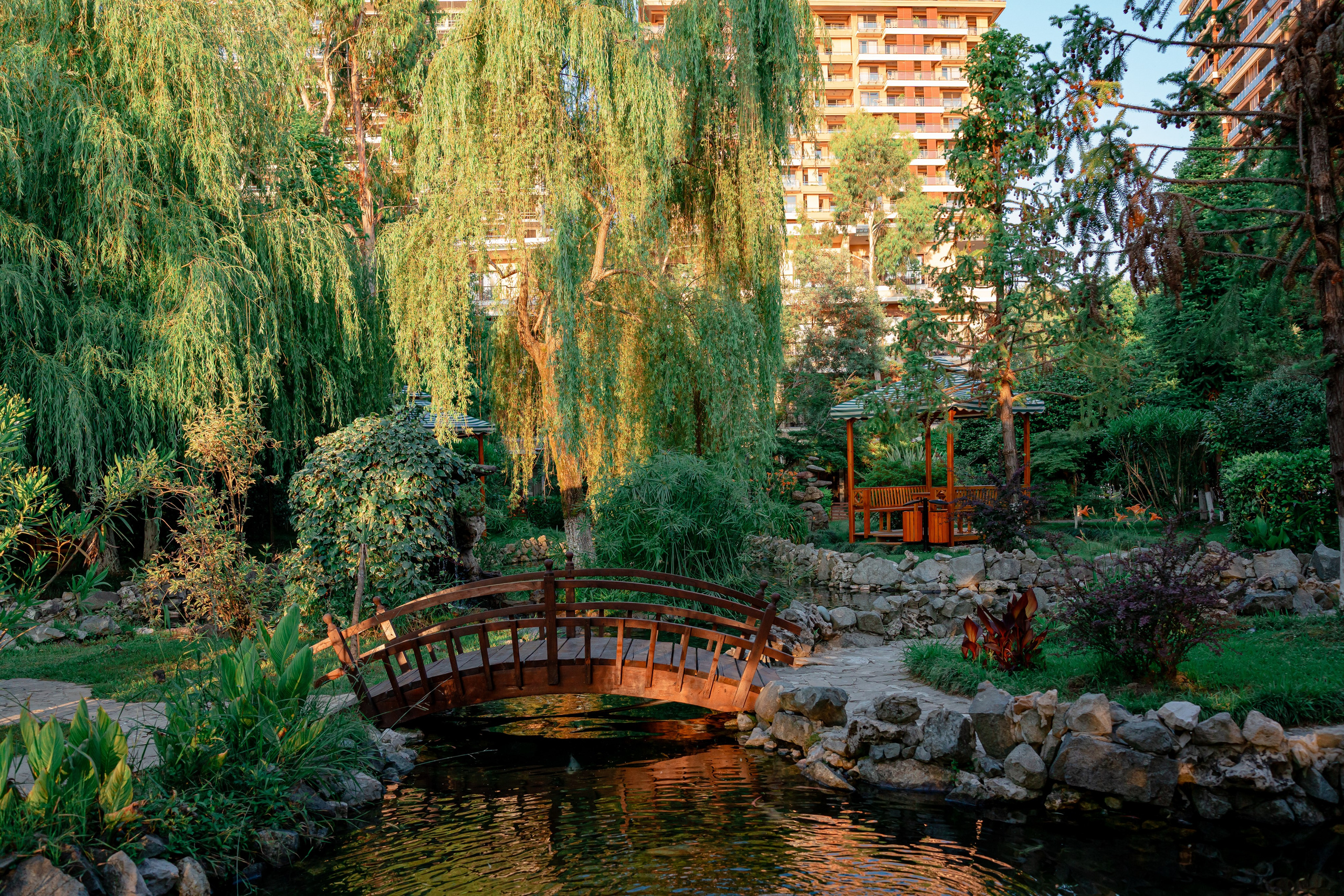 Dreamland Oasis Chakvi. Фотограф Батуми | Ксения Кинасова