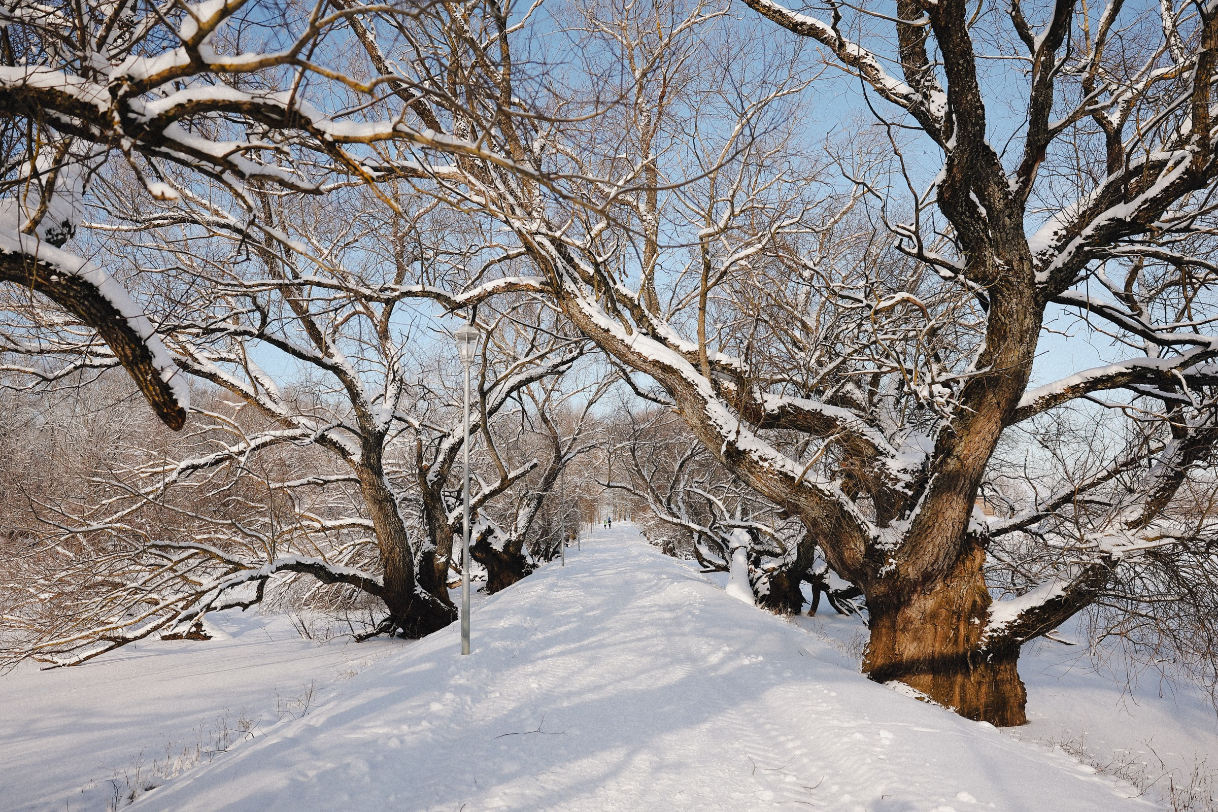 /РЕПОРТАЖ/ NOVGOROD ICE 2025. Свадебный фотограф Великий Новгород Станислав Кособудский