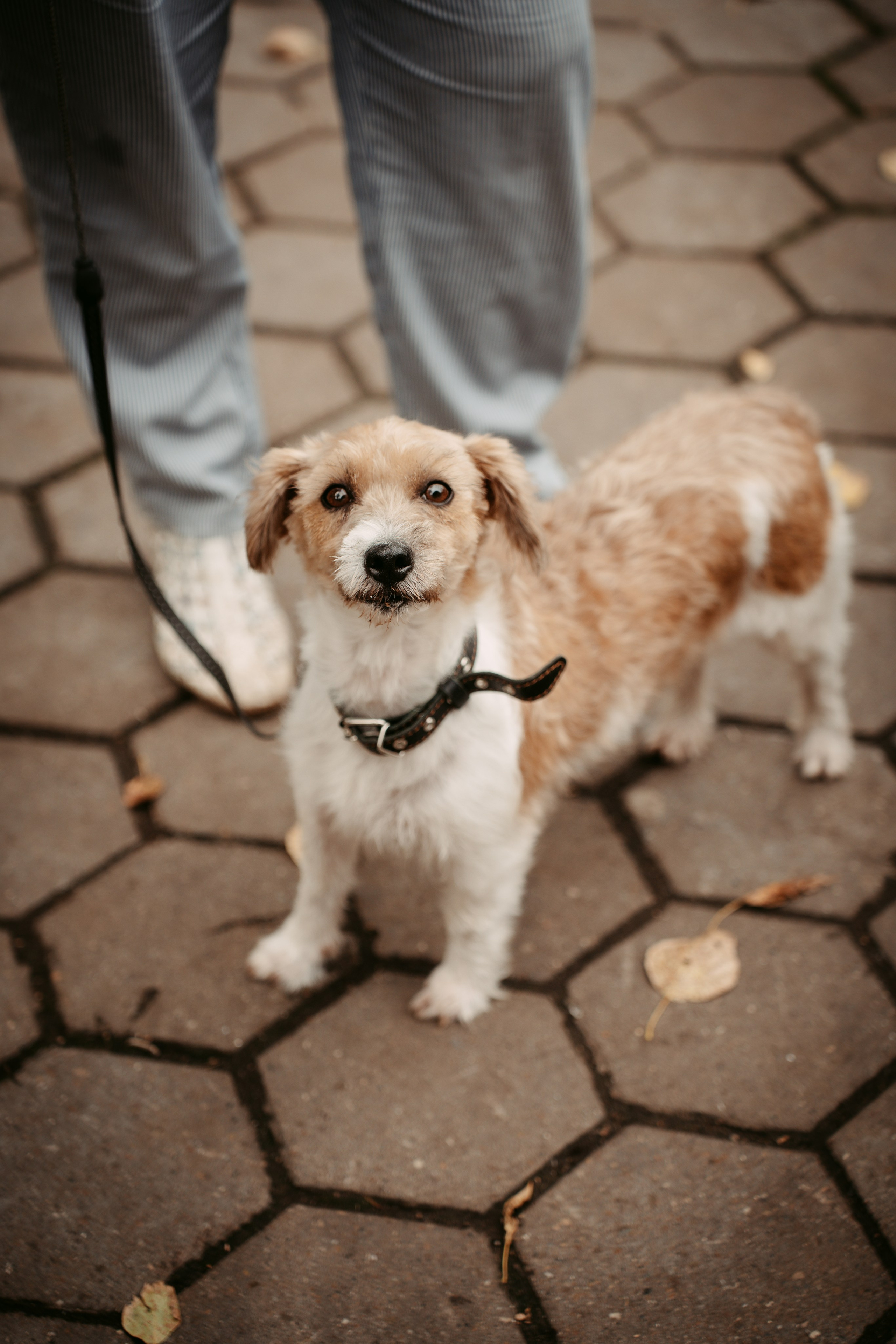 Авторы. Главная