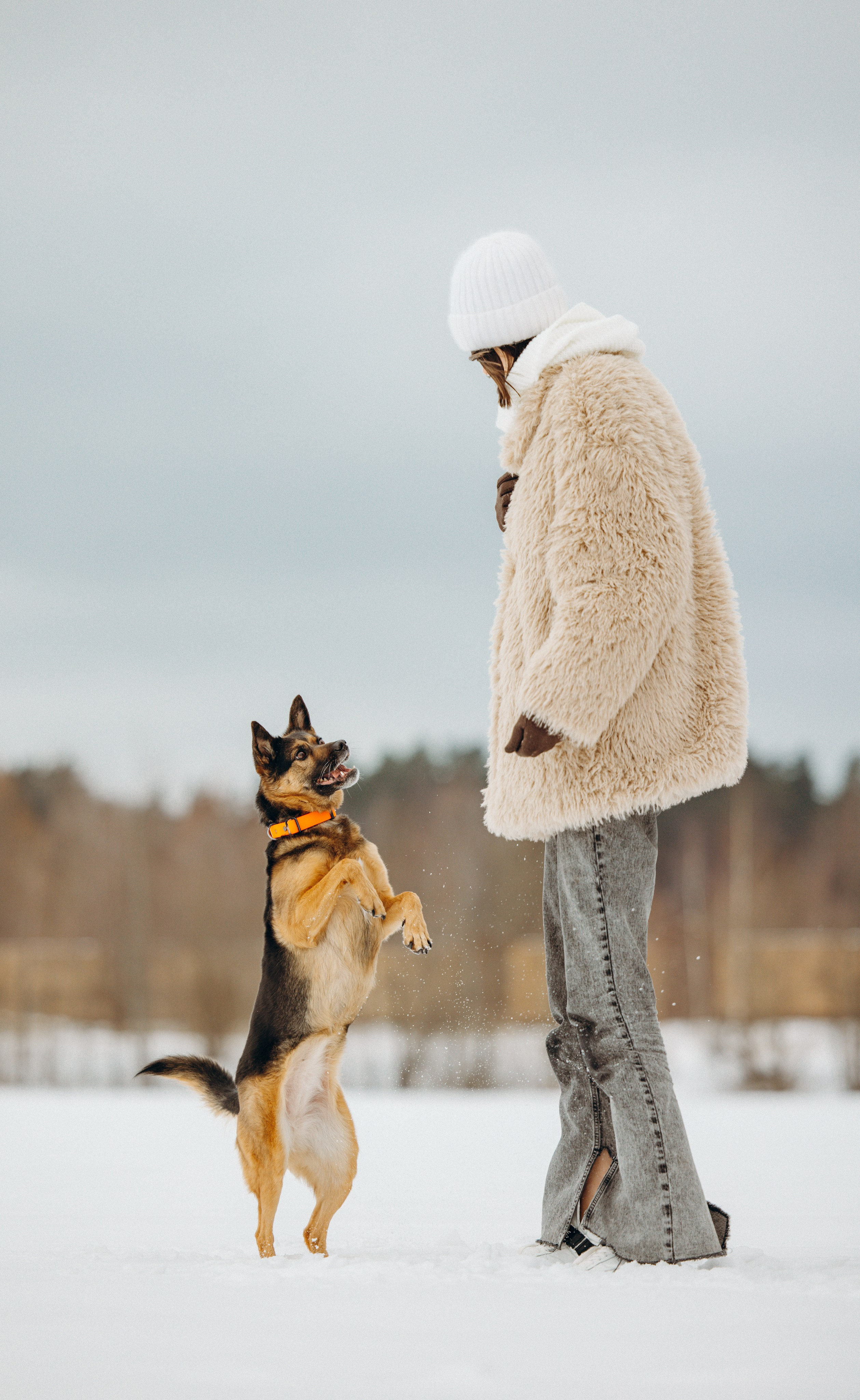 Ника, Матиша и Герда. Фотограф-анималист в Москве Лера Черноног