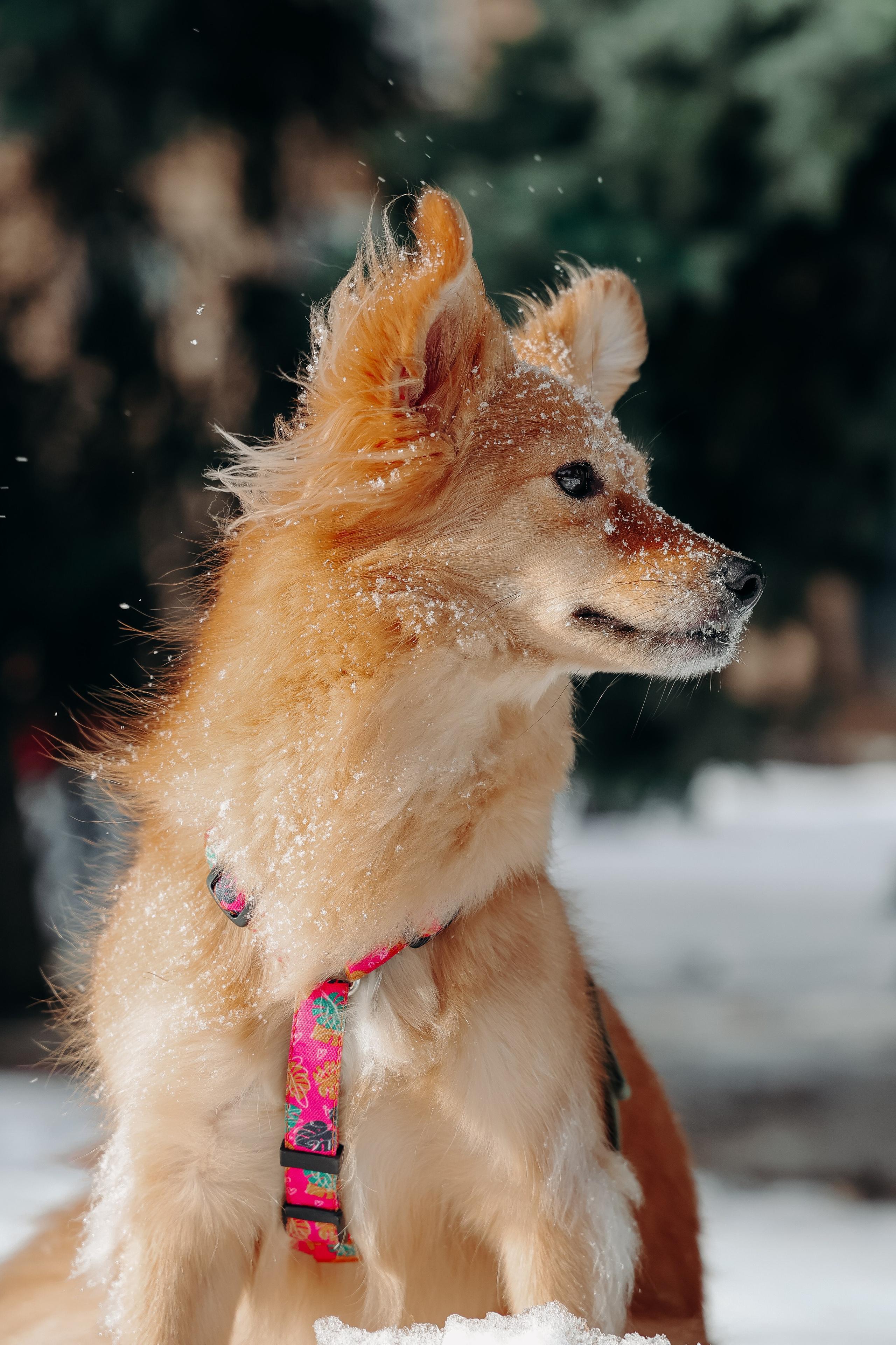 Кнопа. Валерия Гуртовая | Фотограф, Санкт-Петербург