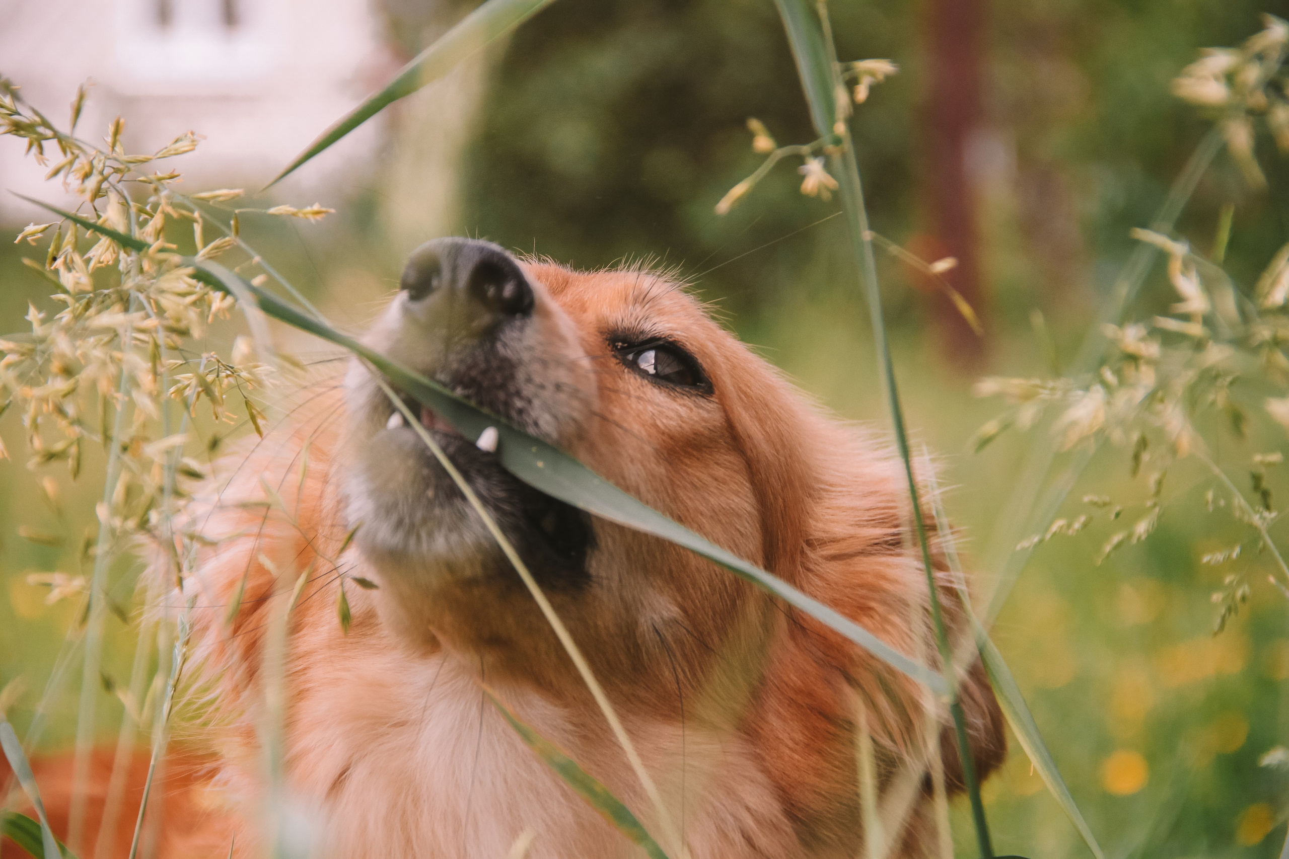 Кнопа. Валерия Гуртовая | Фотограф, Санкт-Петербург