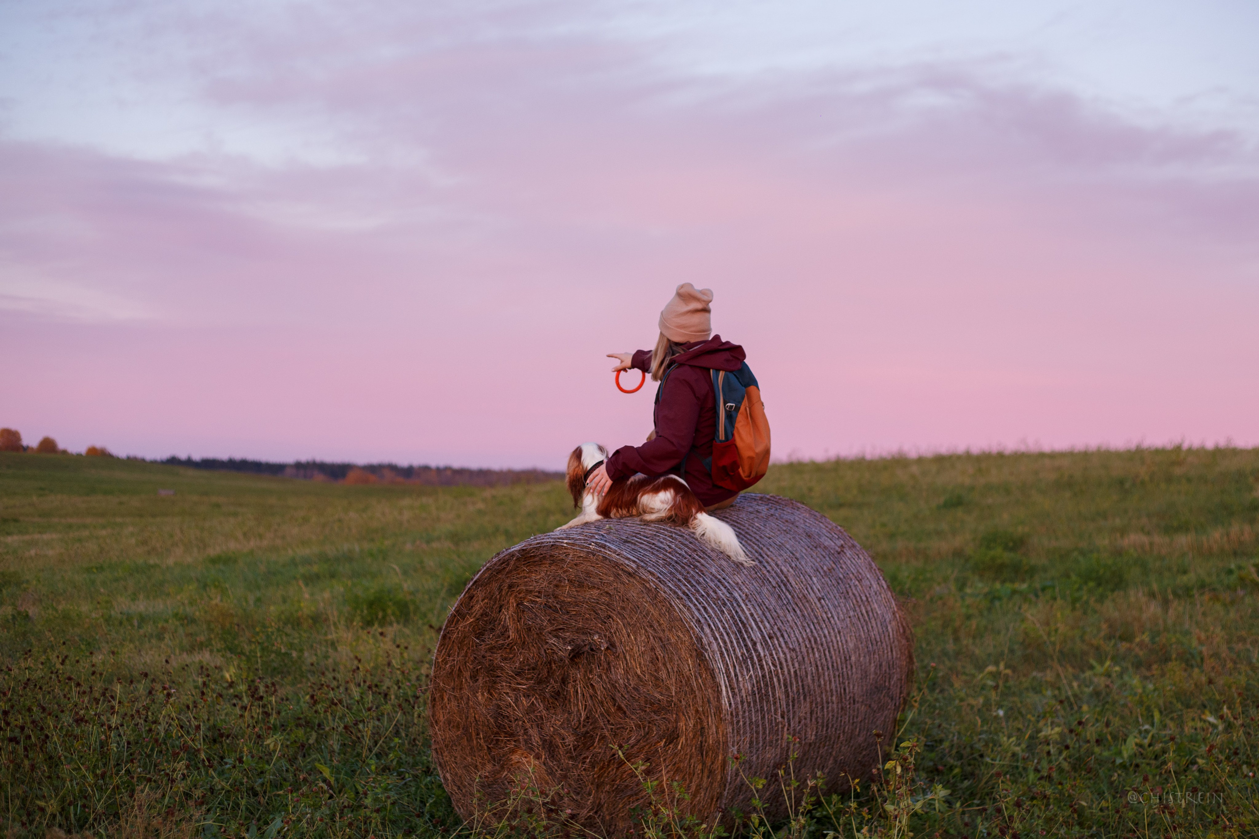 Октябрьский закат в полях. Алина и Лео. Фотограф-анималист Наталия Чистюхина в г. Сосновый Бор и ЛО