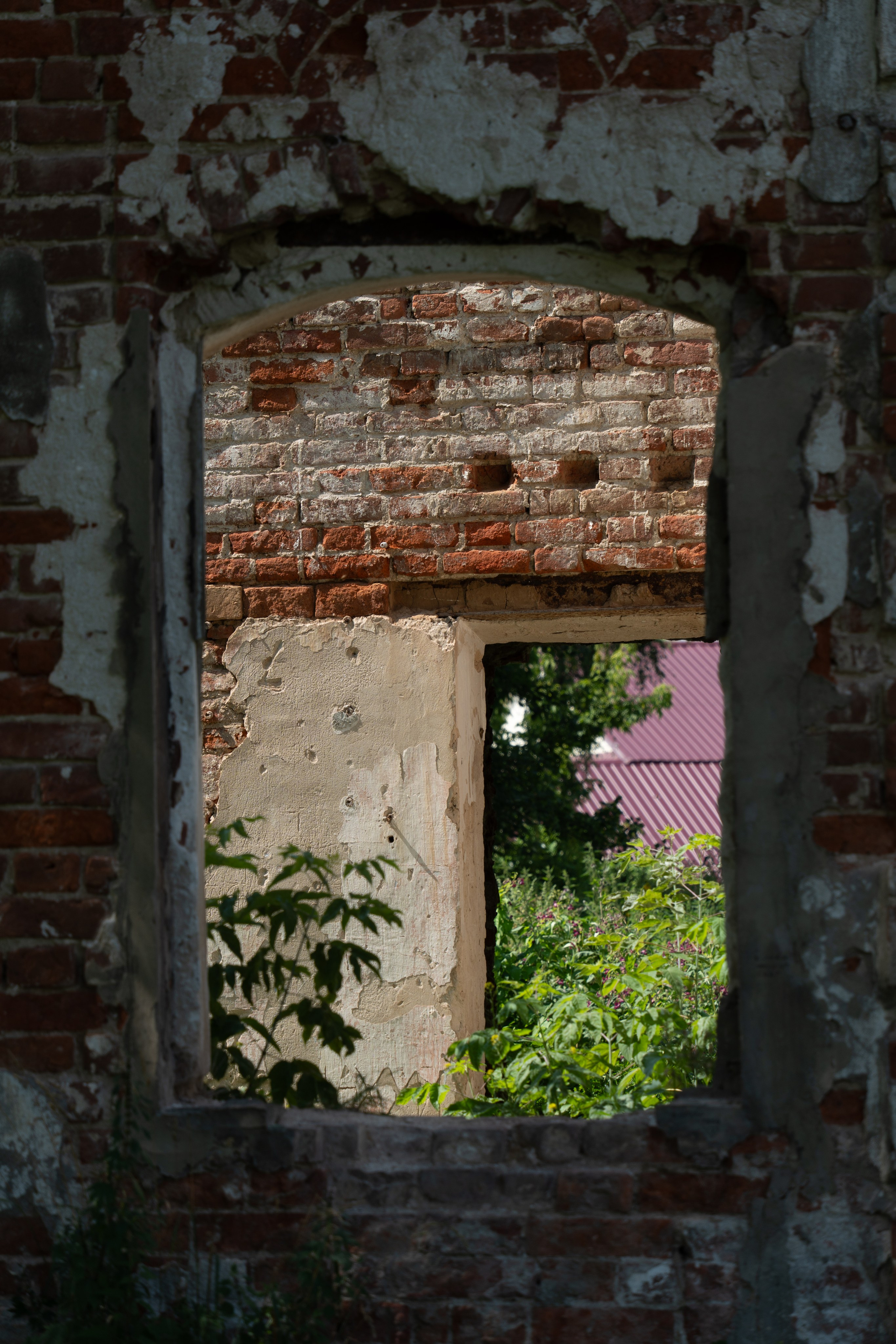 20250729-30 Ростов. Дмитрий Ремизов. Фотография, как хобби