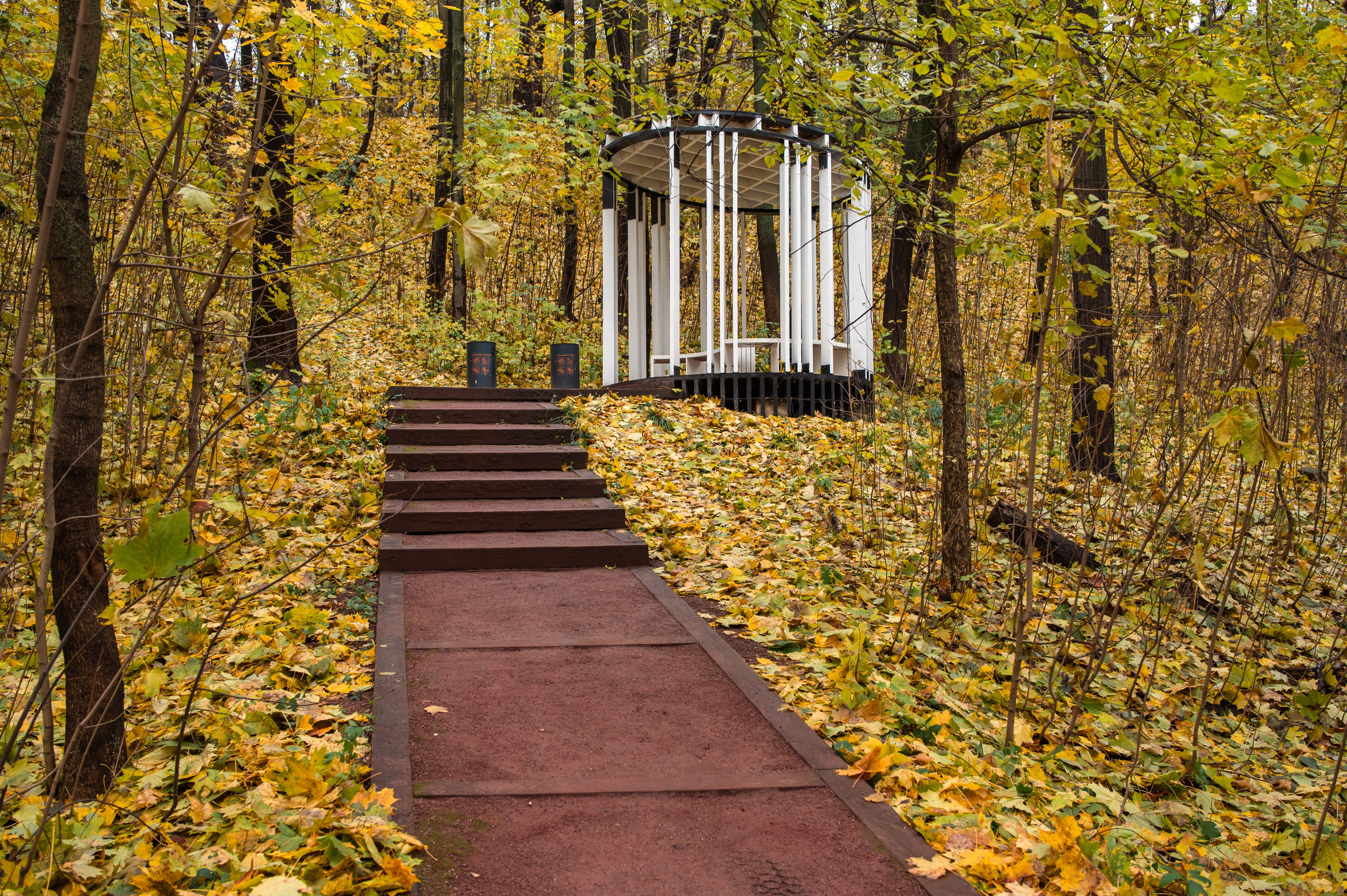 20231031 Нескучный сад. Дмитрий Ремизов. Фотография, как хобби