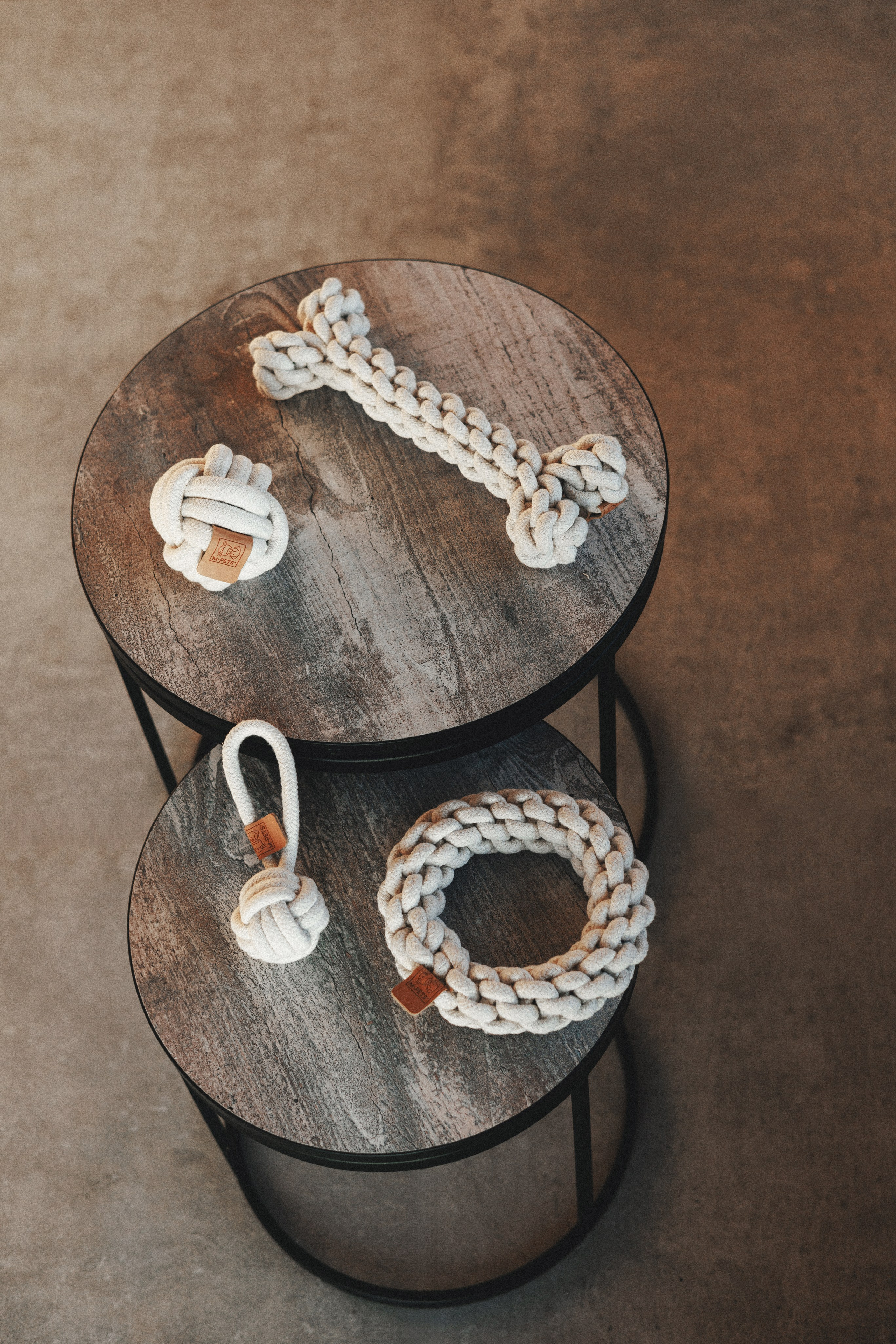 M-Pets. Фотограф анималист Осипчикова Мария