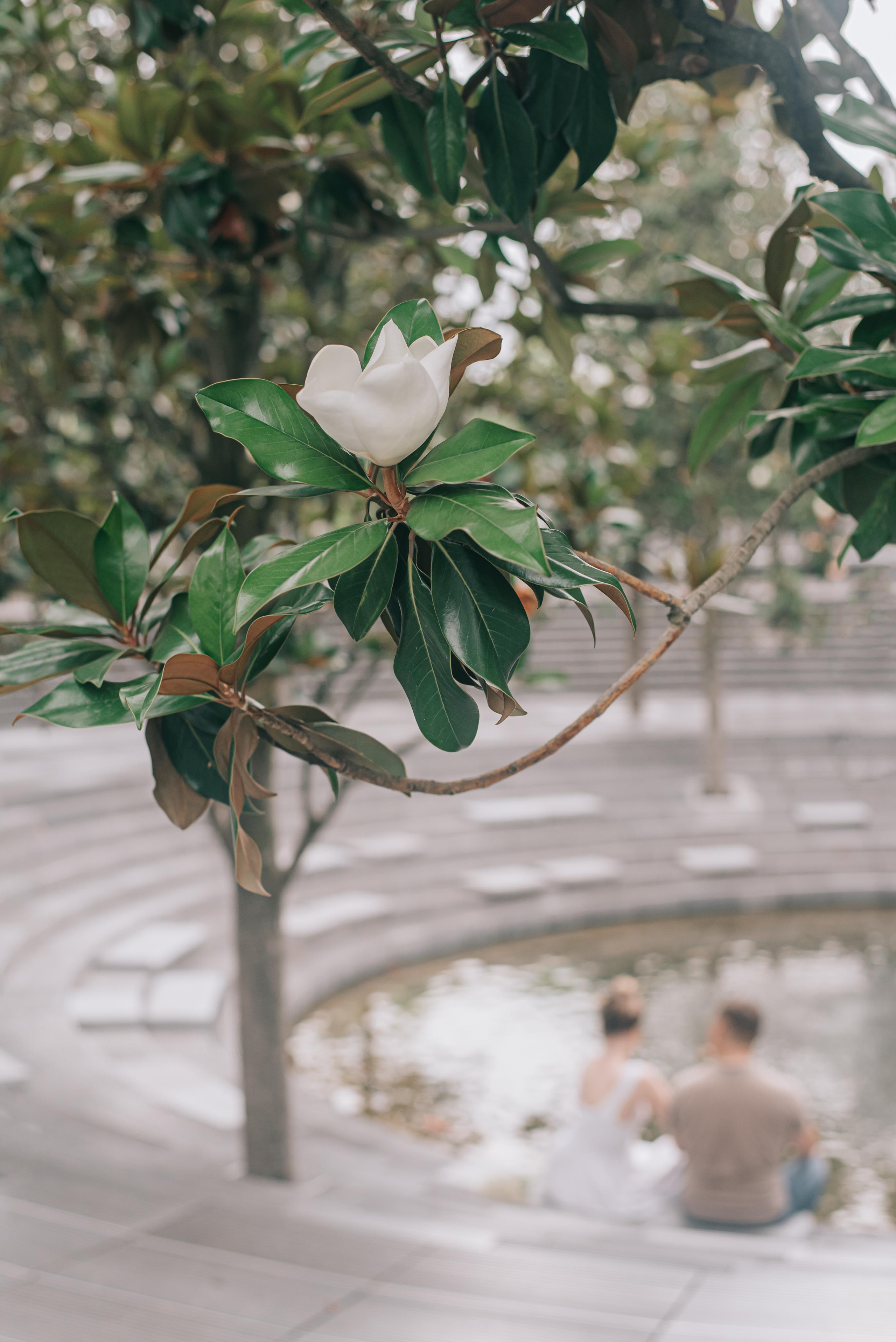 Семейная съемка Андрея и Анастасии. Фотограф в Краснодаре Зеленкина Дарья