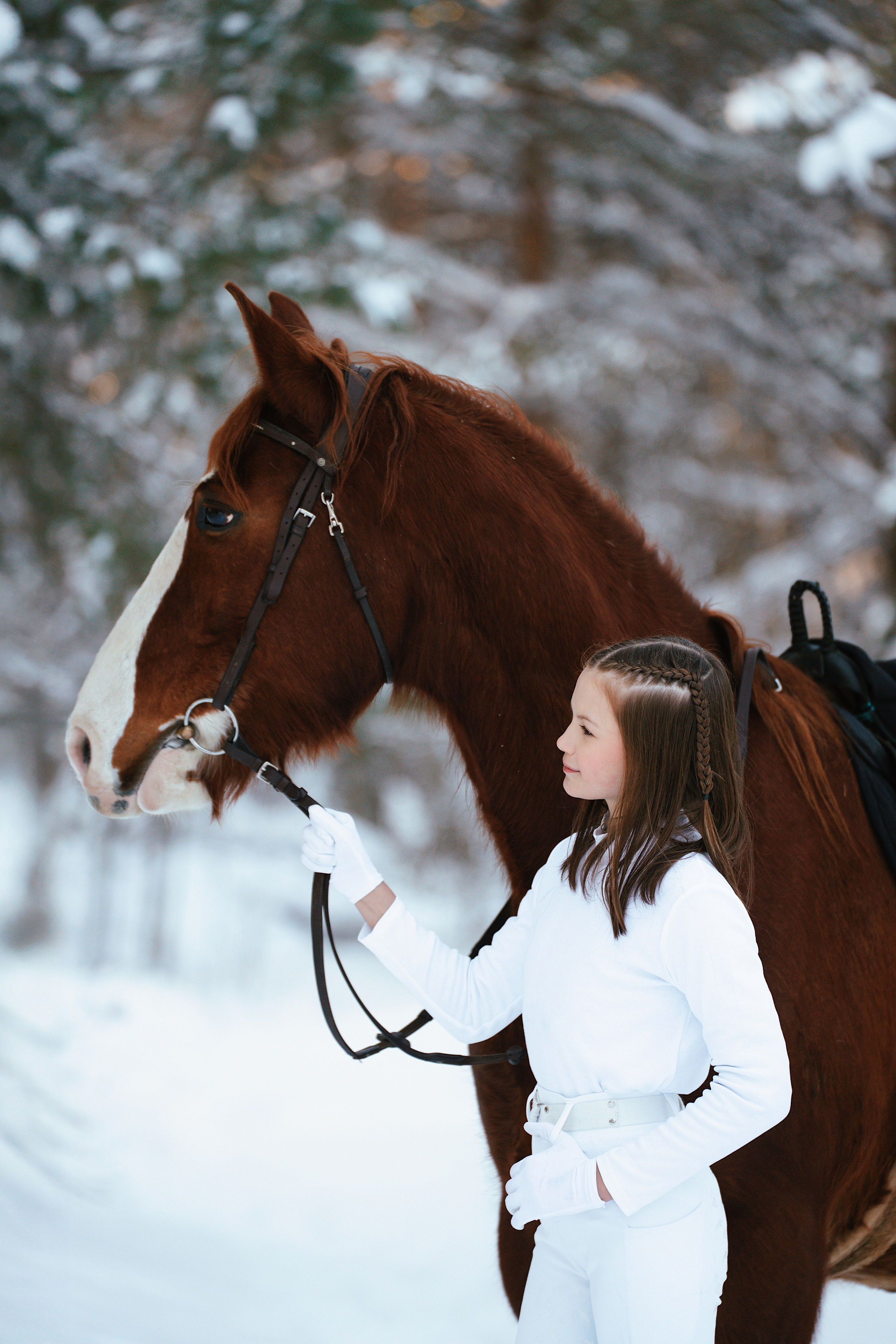 Конные. Фотограф Сибирика (Ирина Кузнецова), Санкт-Петербург и ЛО — портреты, свадьбы и семейные съемки. Творческий подход и качественные фото