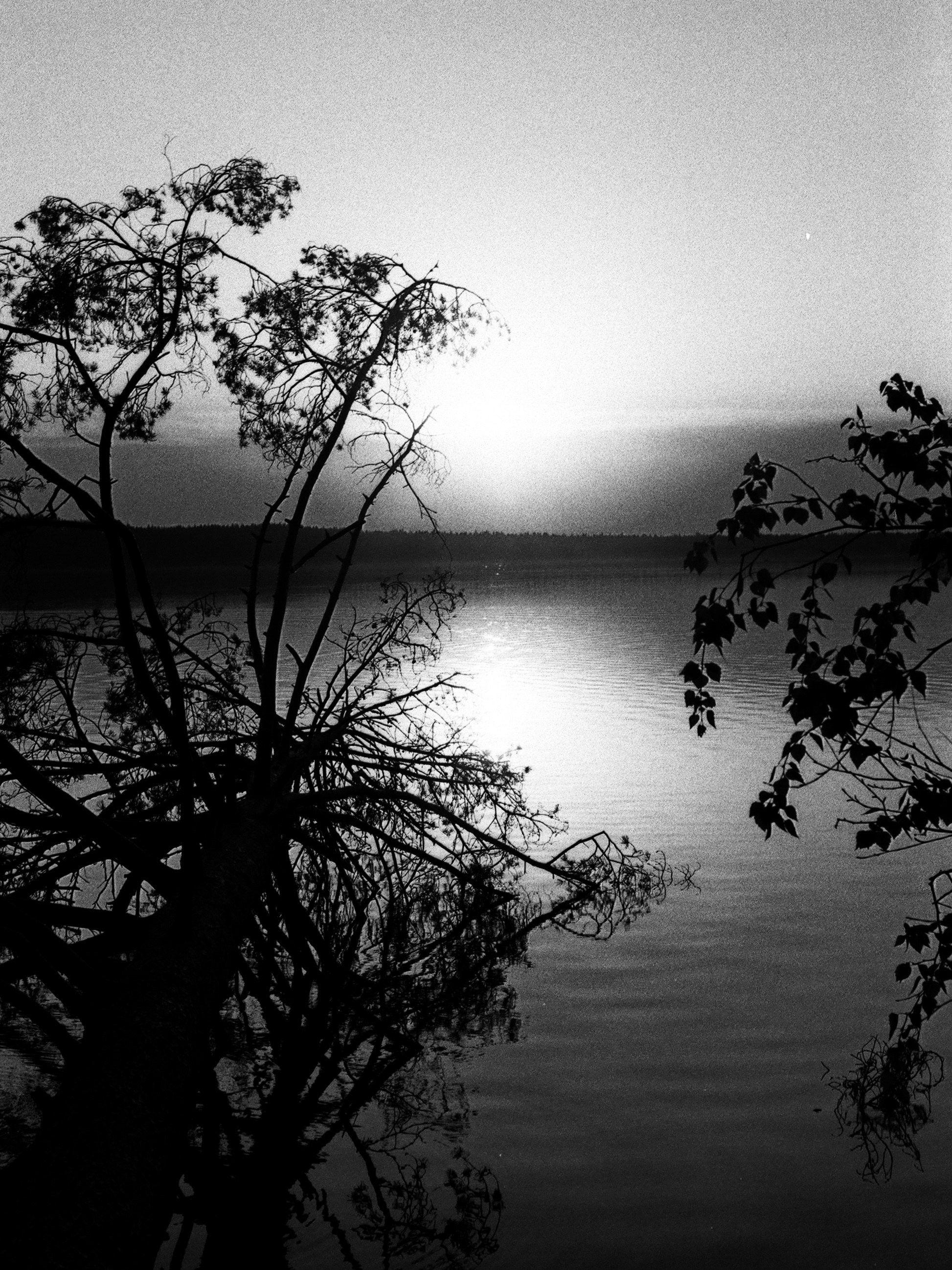 Натура. Фотограф — Маслеников Константин