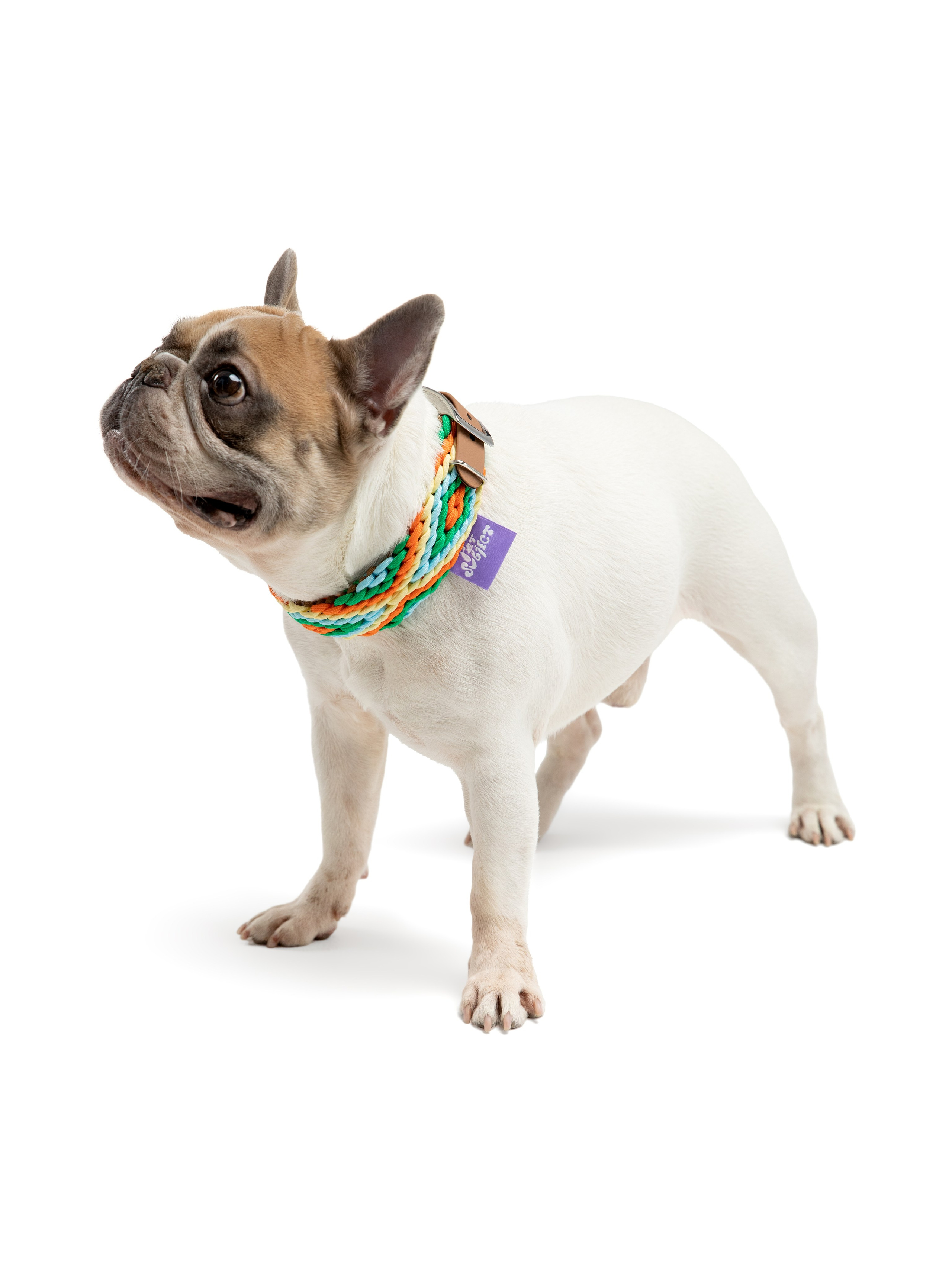 Одежда для собак Pet Subject. Олег Дмитриев