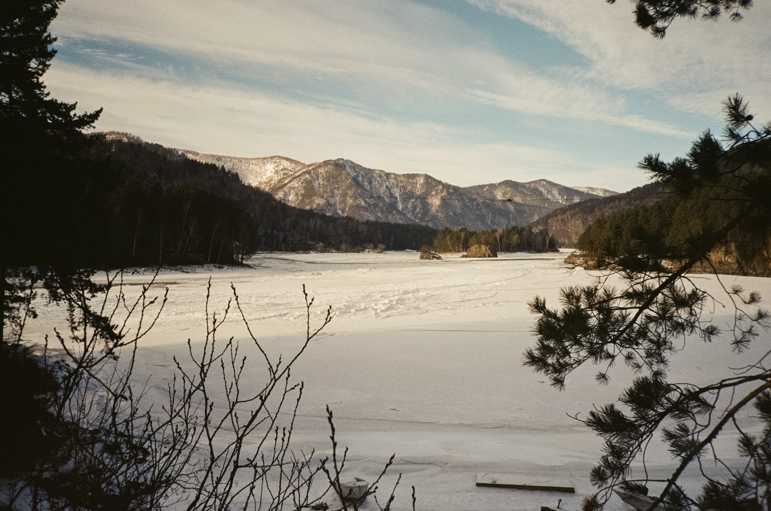 От Кызыл-Таша до Чемала. Техас, горы, поля и коровы. Фотограф-документалист Мария Осокина