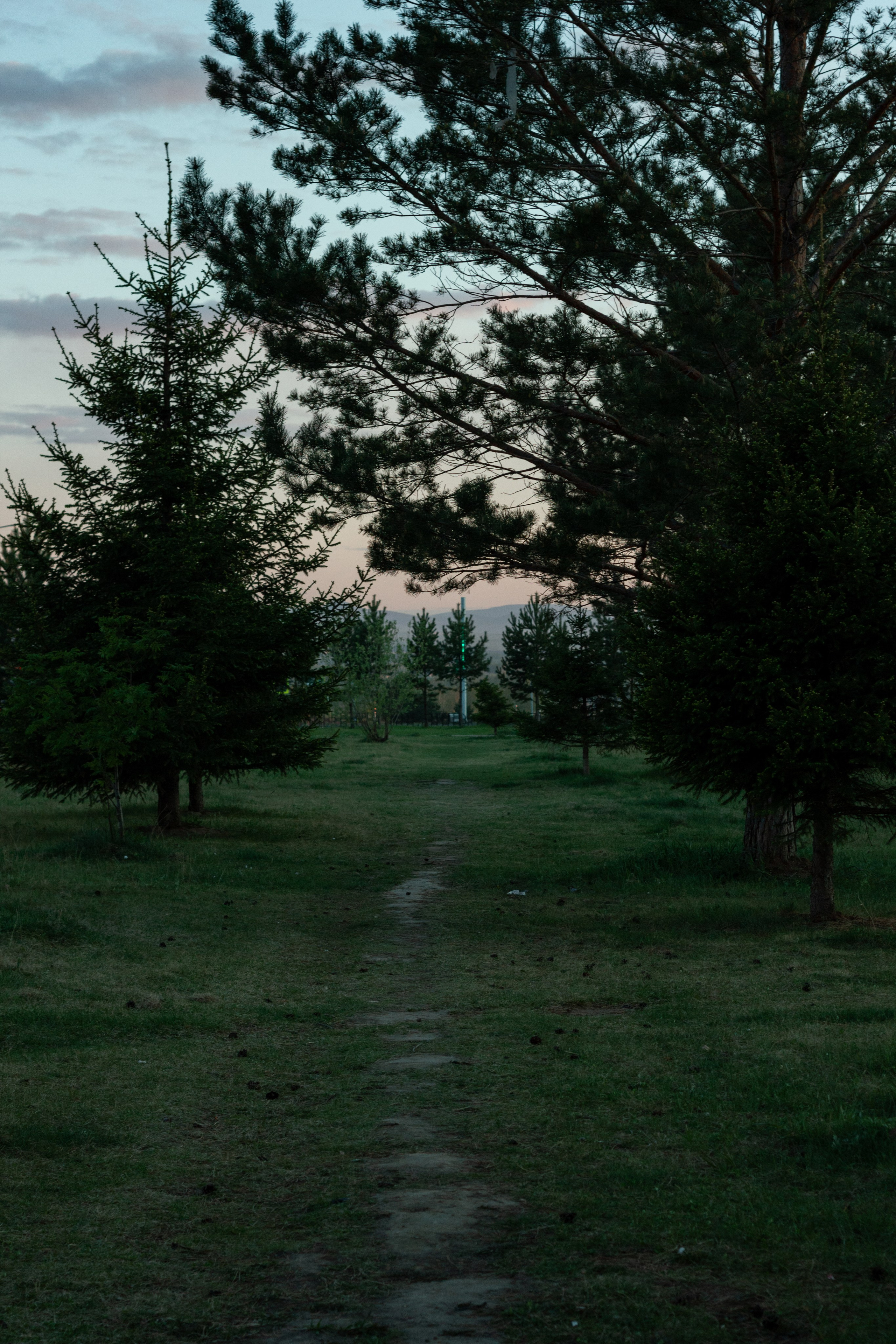 15.05.2025 | Сосновоборск. Kuznetsov | Фотограф в Красноярске