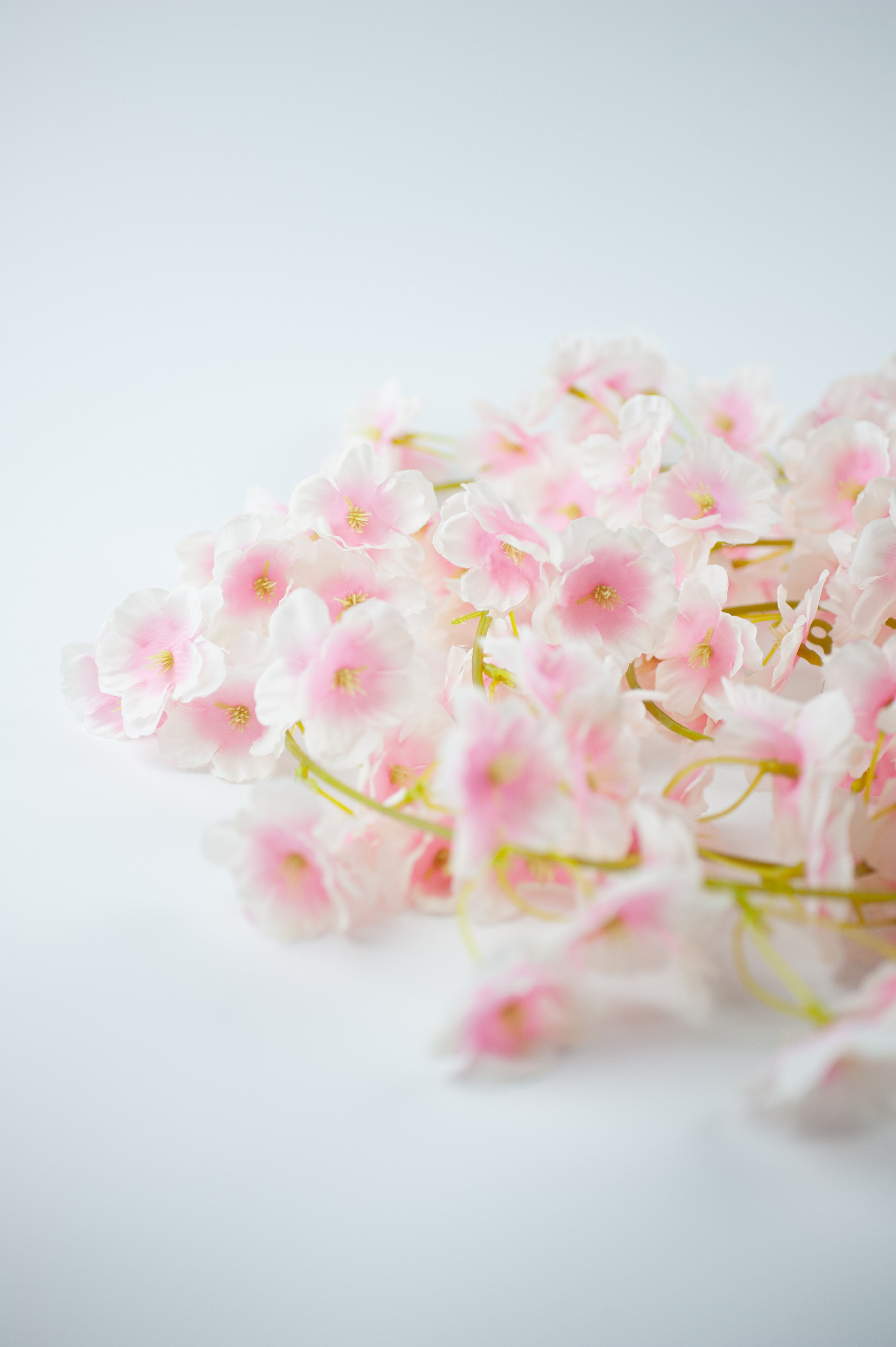 Предметная съемка. Предметный фотограф для маркетплейсов в Раменском