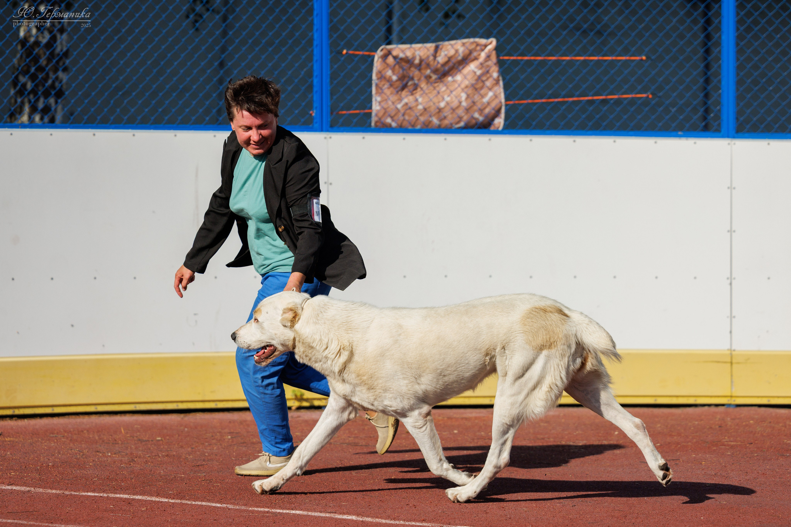 Коломна 30.08.2025. Фотограф-анималист Юлия Германика