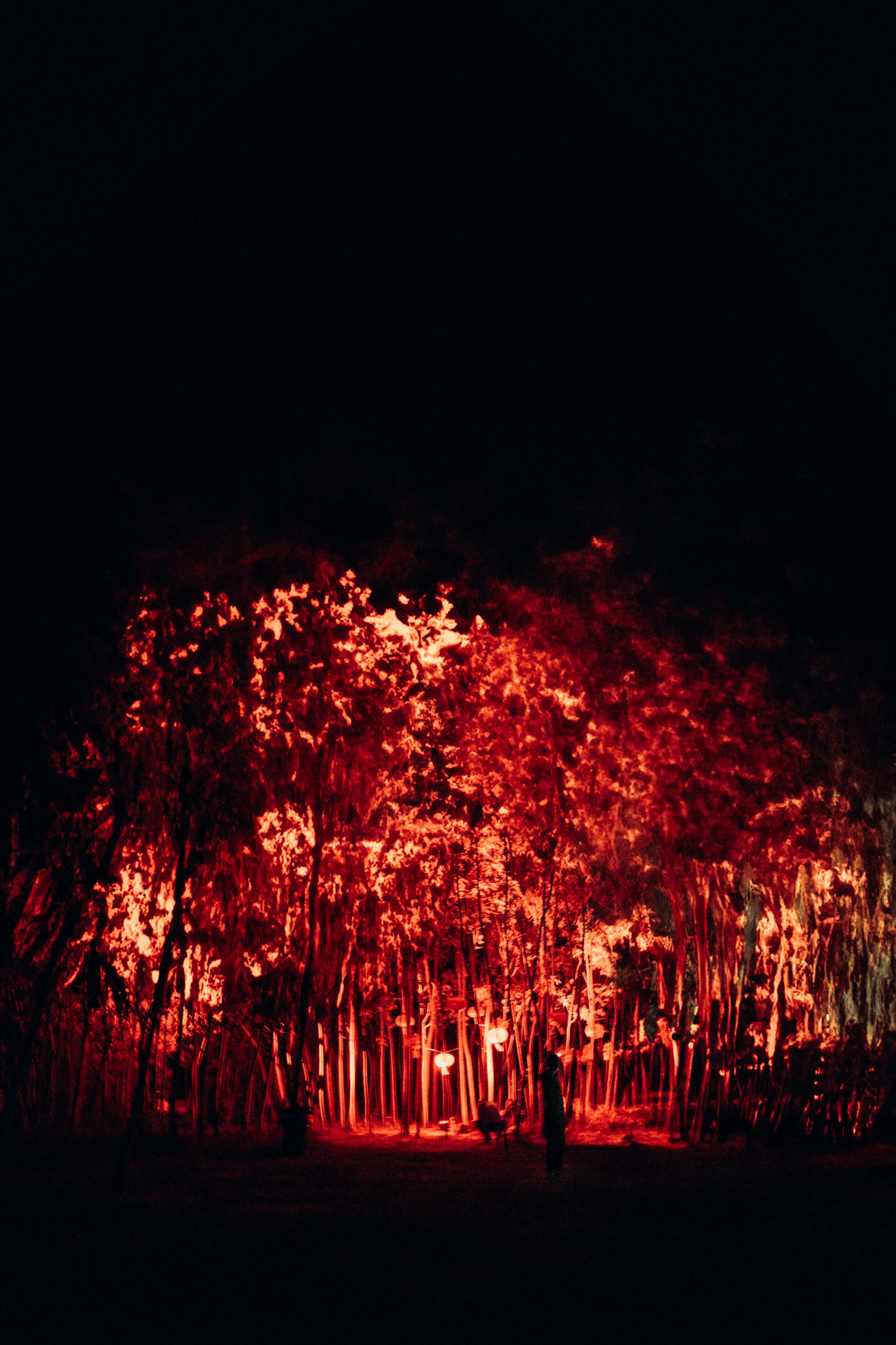 ULCAMP'25. Репортажный фотограф в Санкт-Петербурге Александр Паклин