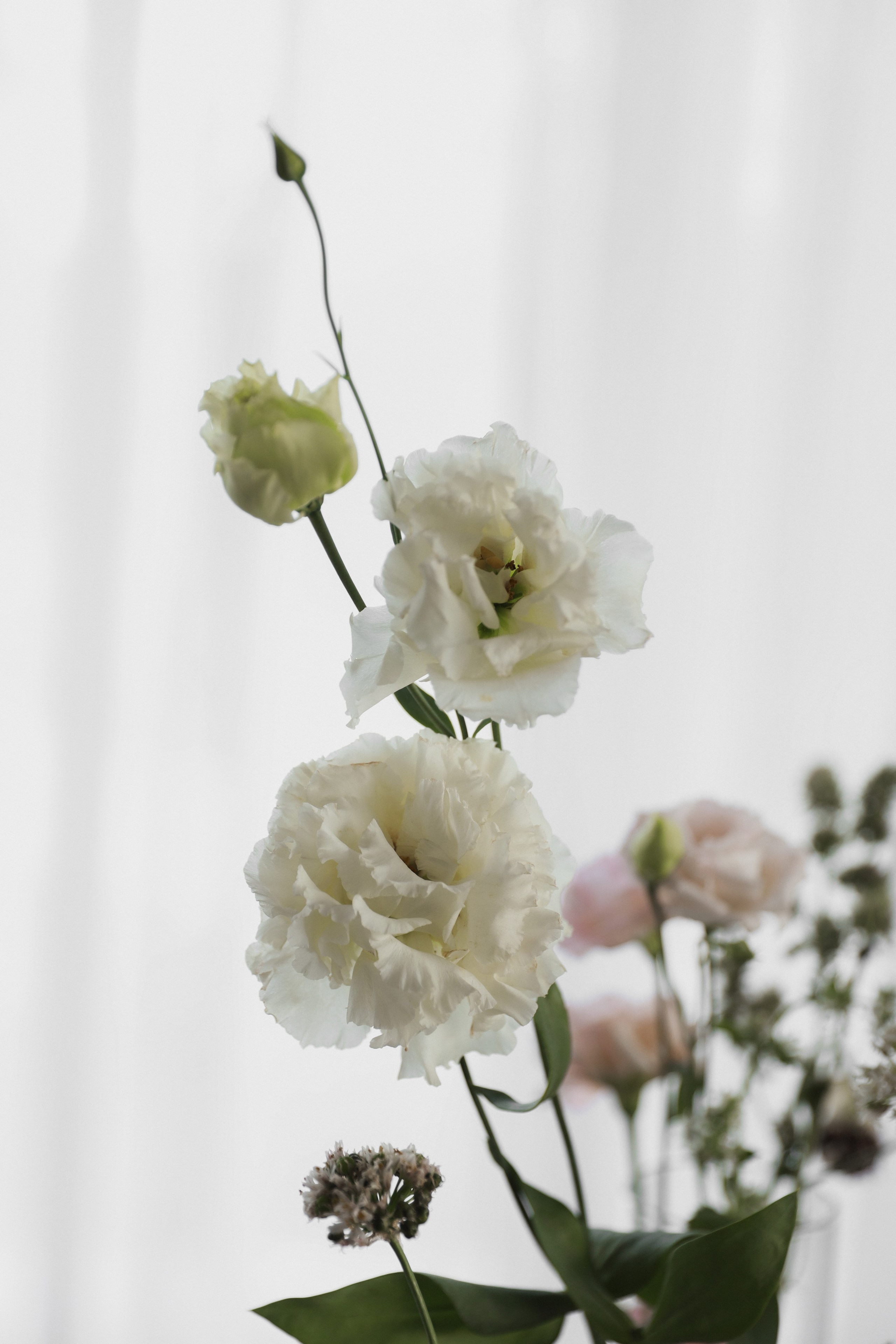 Юлия и Дмитрий. Семейный и свадебный фотограф Лилия Матонина | Ангарск, Иркутск, Усолье-Сибирское, Байкал (Листвянка, Ольхон), Иркутская область