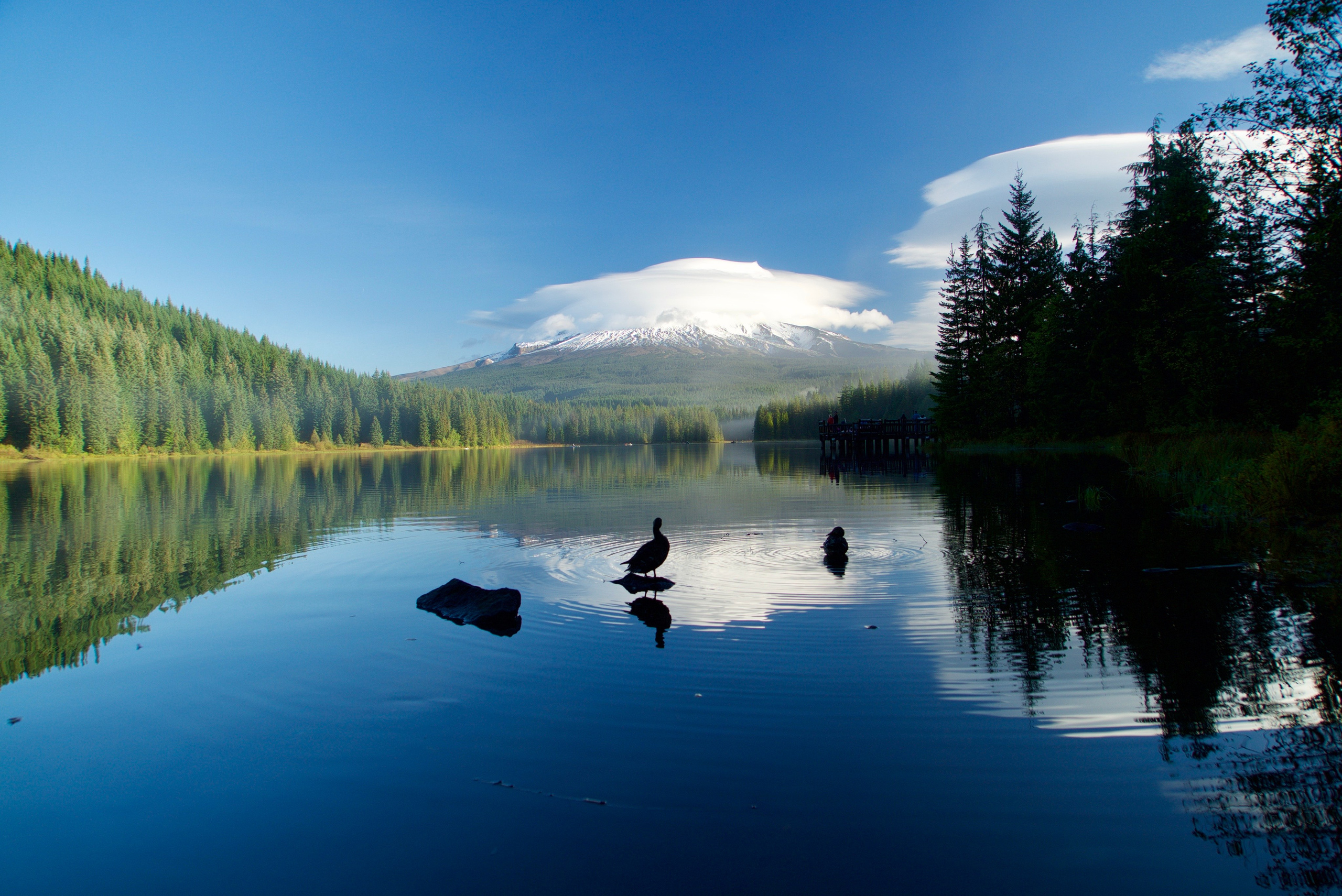 Природа. Василий Буйлов|Vasilii Builov