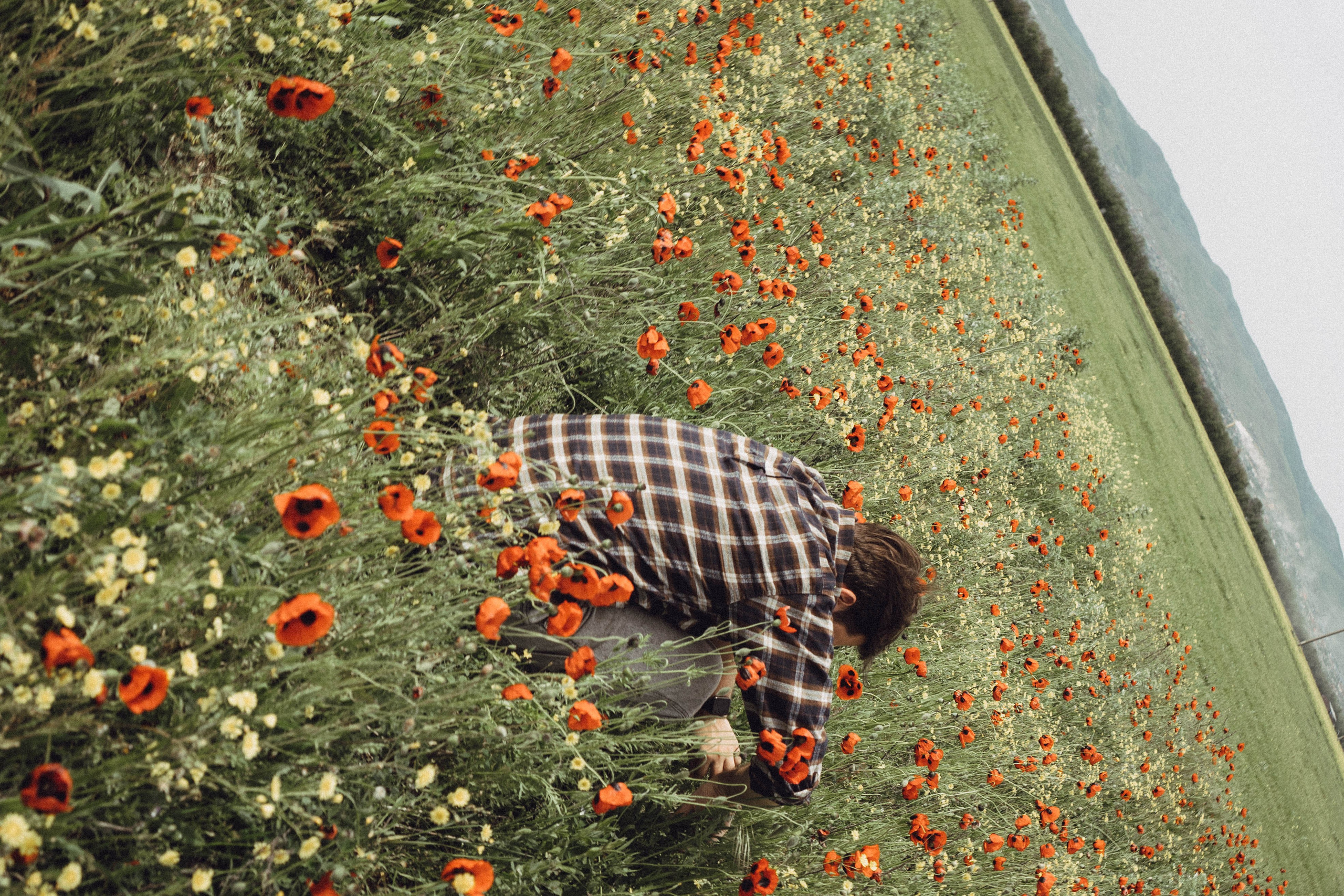 Маки. Профессиональный фотограф, Санкт-Петербург — Виктория Богомолова