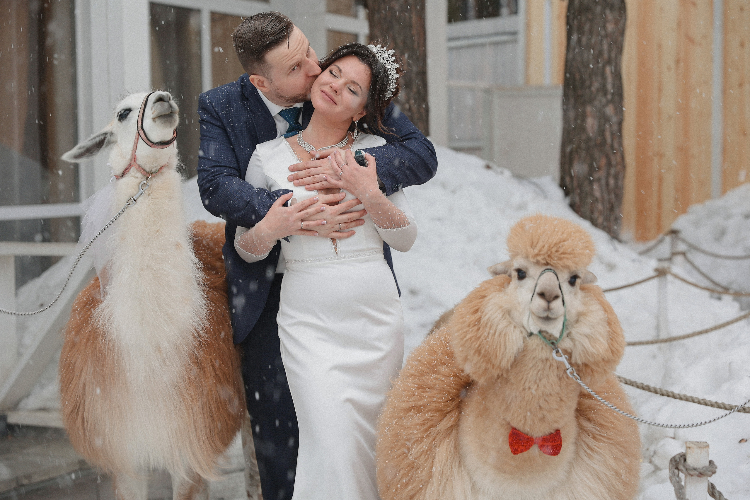 Шоу с Ламой. Подрядчики и друзья сети свадебных площадок House for wedding