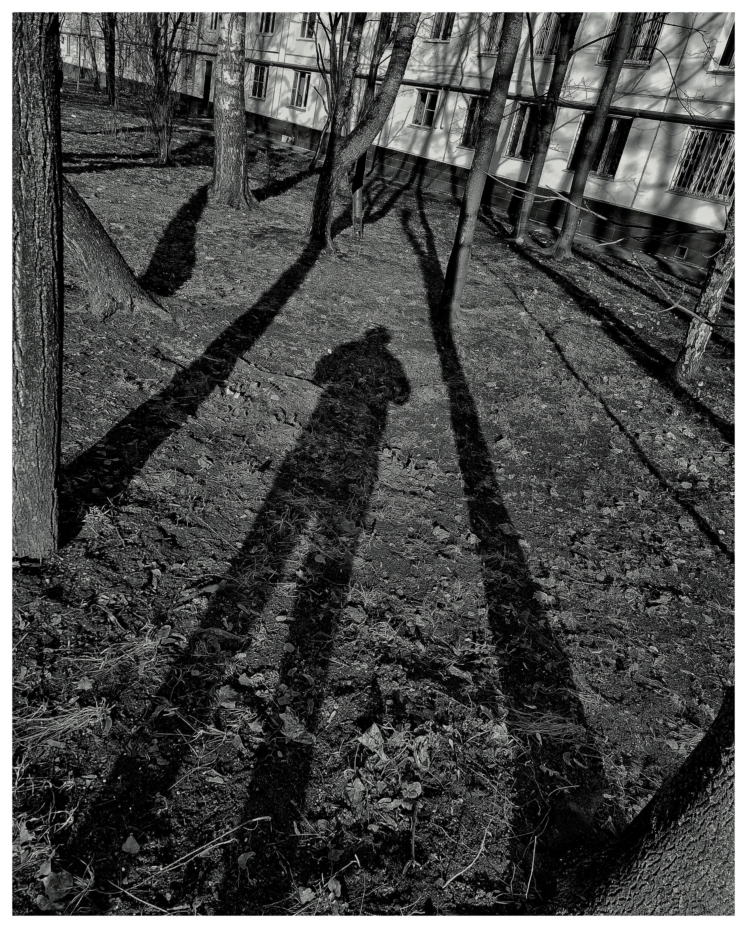 Мир повседневных Вещей. Репортажный и портретный фотограф, Влад Хафизов, Москва