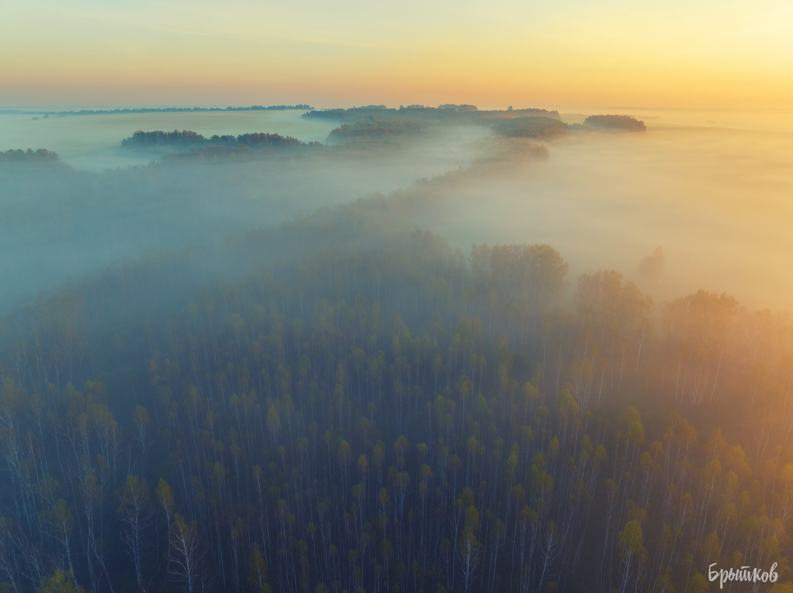 Бежин луг туман Брытков Николай