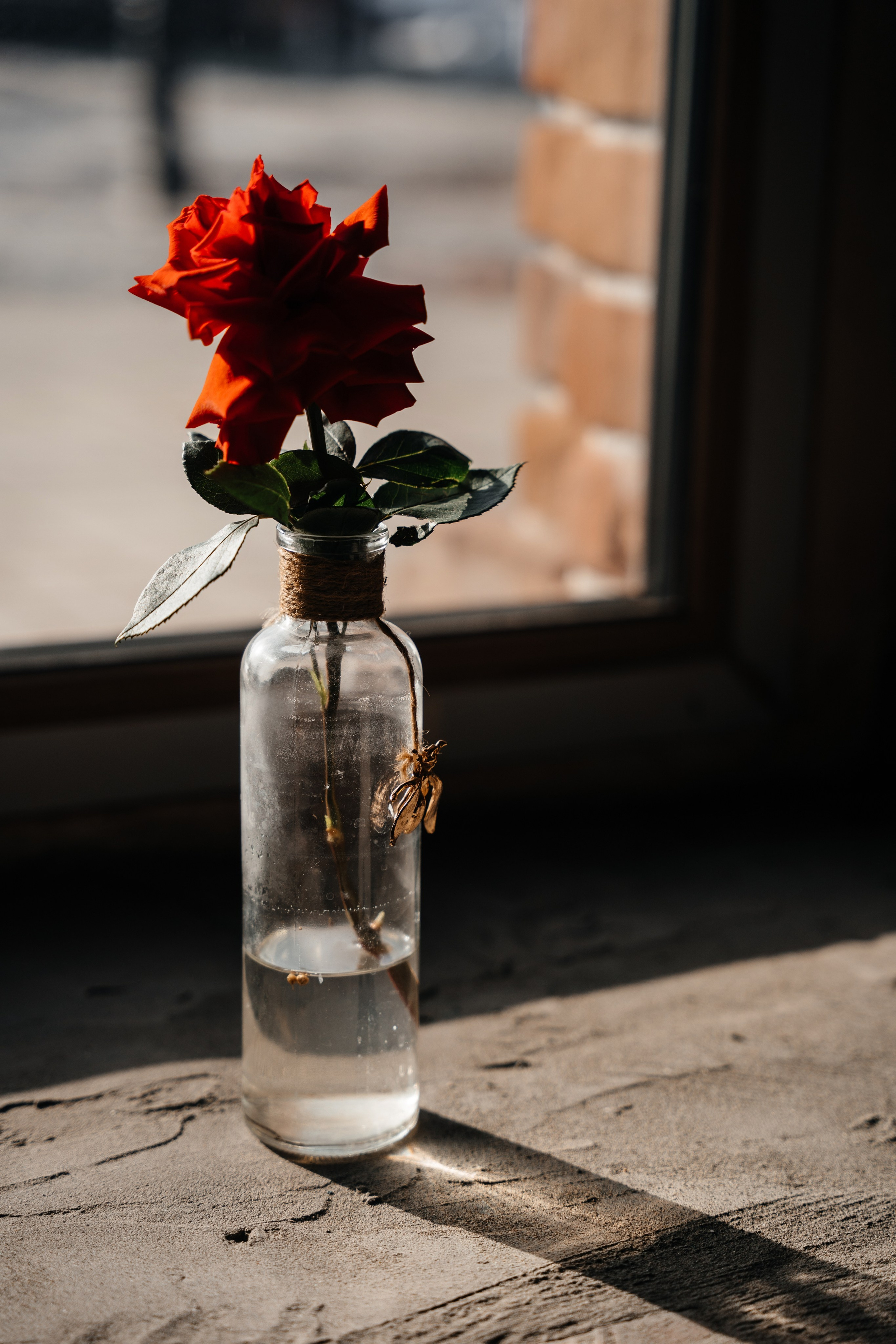 ПРОЕКТ ТЕОРИЯ. Свадебный фотограф Барнаул Алексей Павлов