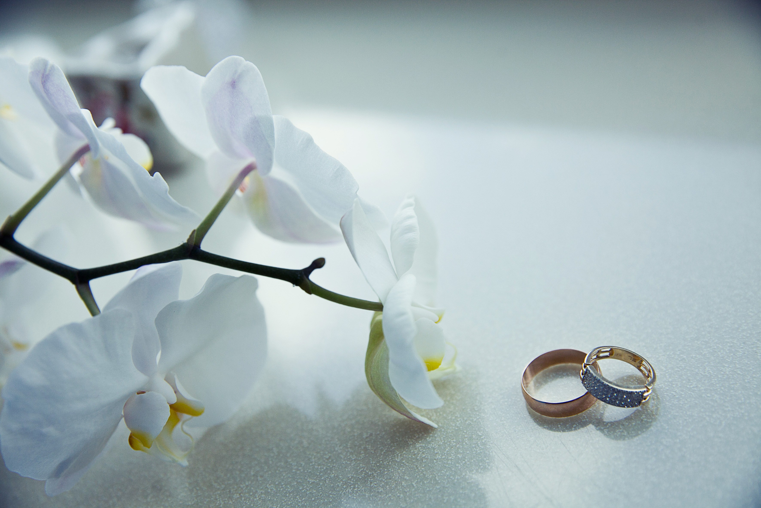 Галерея. Свадебный фотограф Екатеринбург, Санкт-Петербург