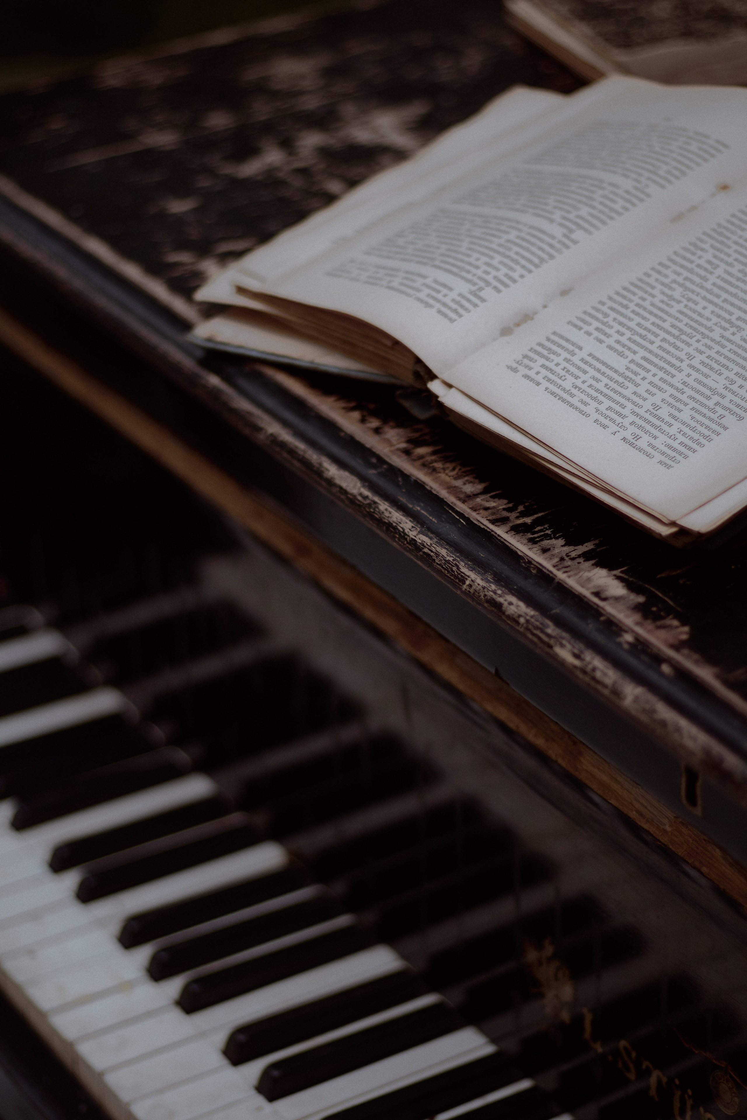 Стеклянная Оранжерея. Фотограф лавстори Москва/МО Приятелева Ангелина