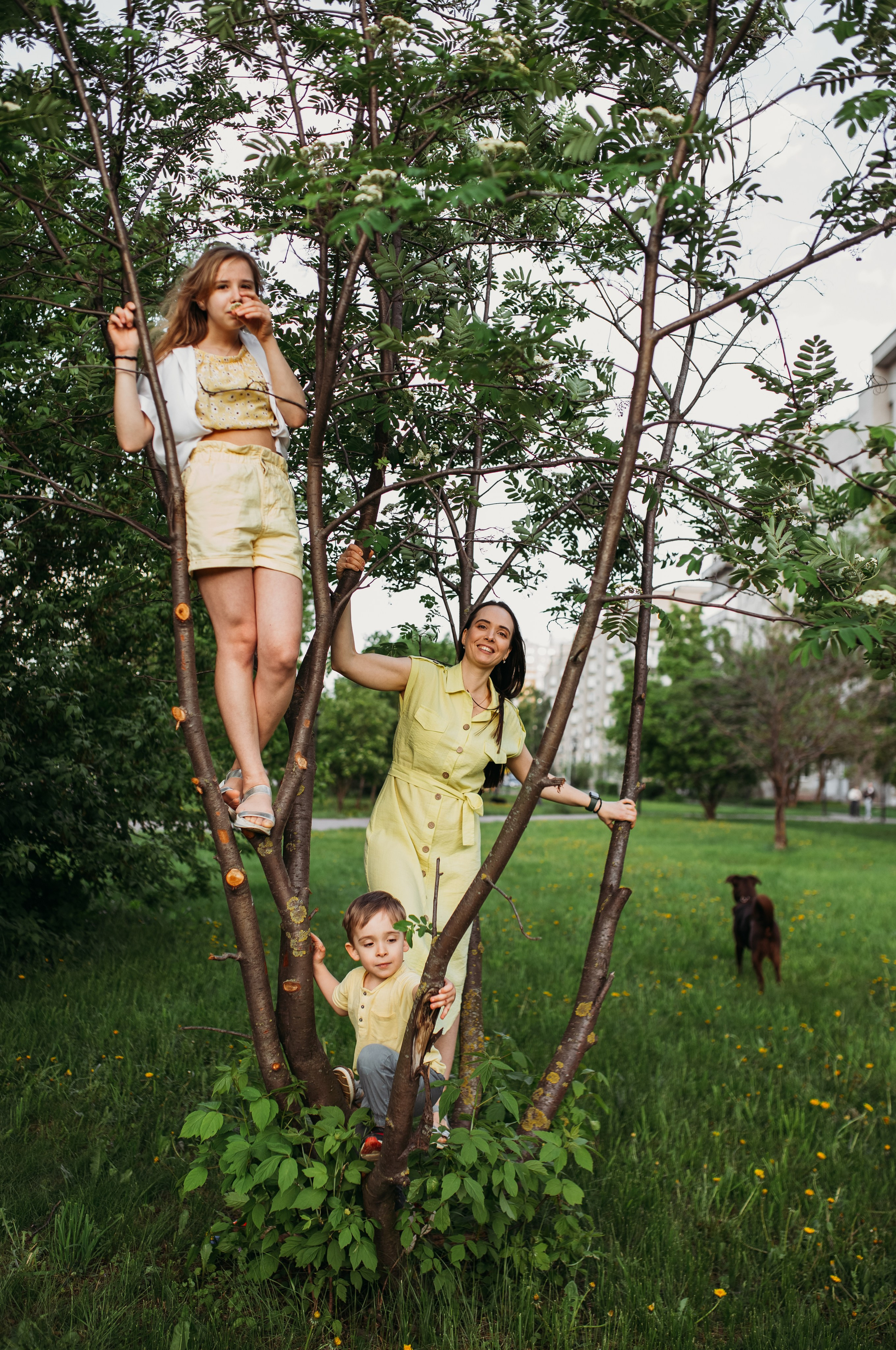Катя, Юля, Матвей и Макс. Семейный и детский фотограф в Нижнем Новгороде Наумова Лидия
