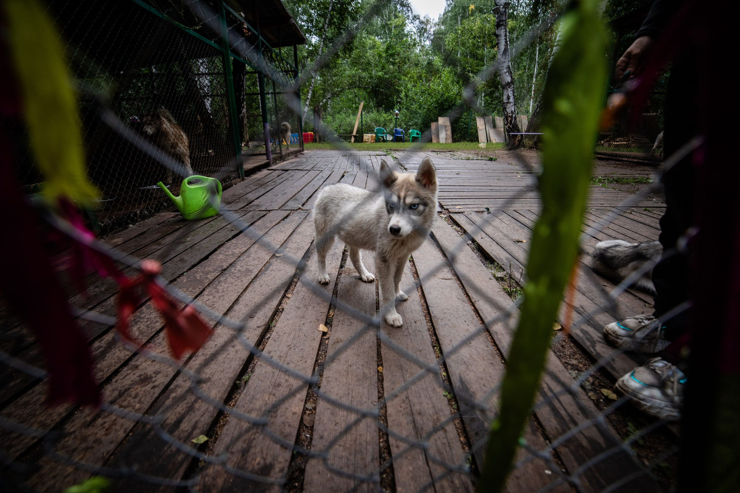 Корпоративный тимбилдинг — «Монтажный горизонт». Репортажный и свадебный фотограф в Челябинске Елисеев Павел