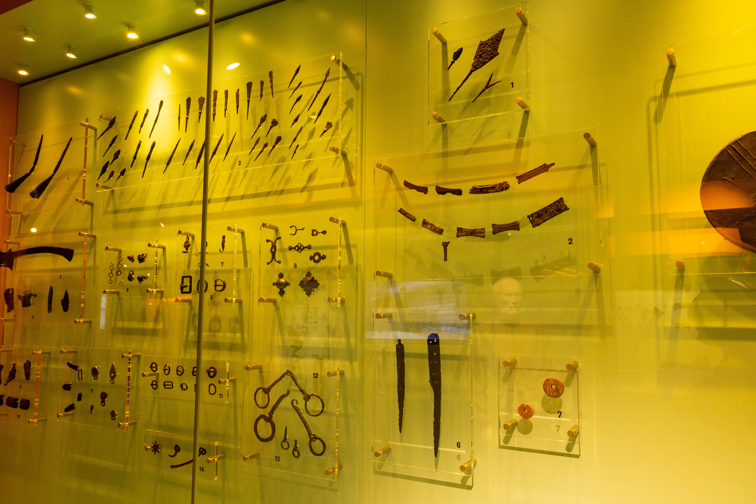 Поездка на поле Кулеково. Фотограф в Туле Крупский АнДРей. Фотостудия «КАДР71» в Туле