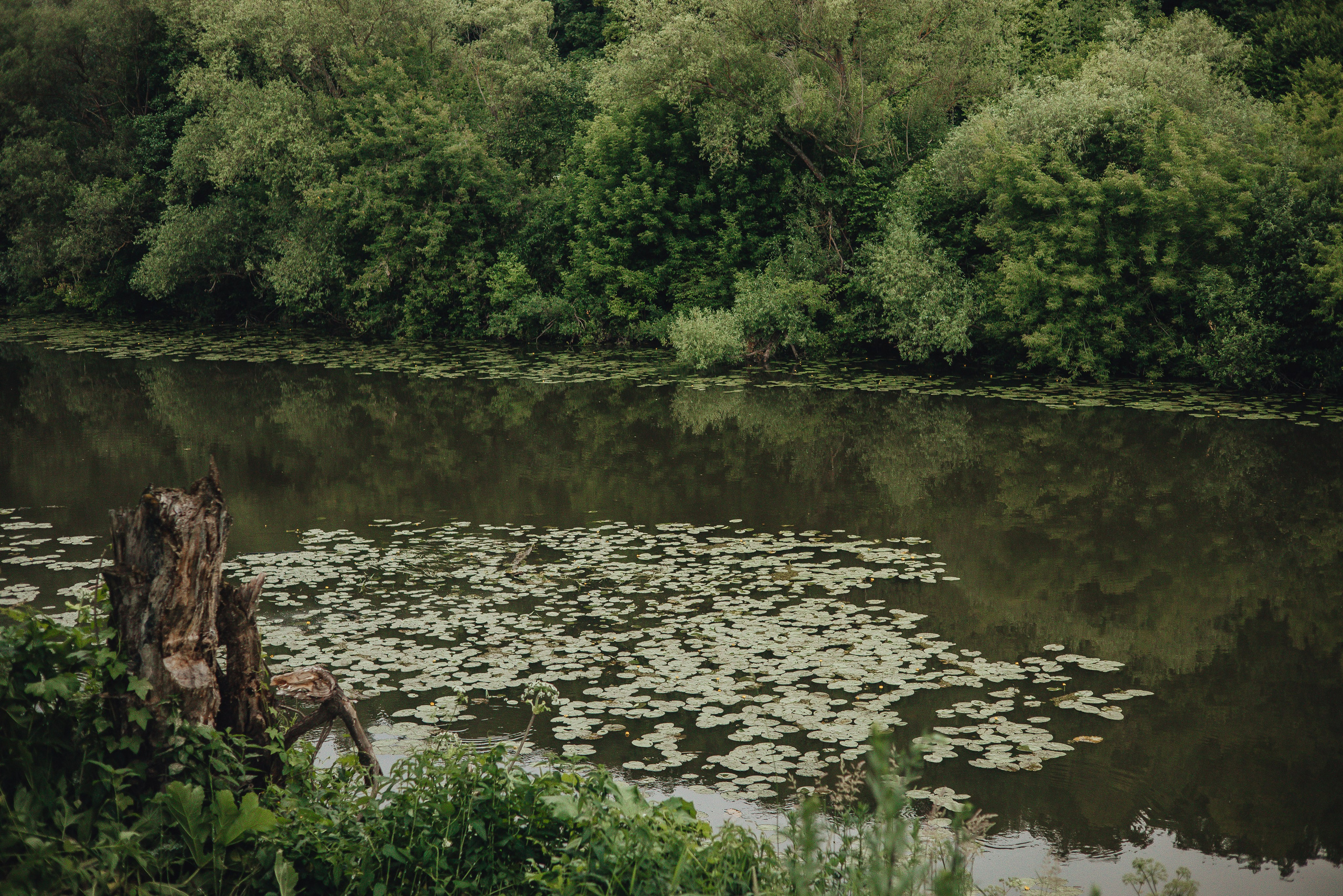 Алёна & Дима. Полный день. Свадебный и семейный фотограф Пушкин Царское Село СПБ Питер Санкт-Петербург и Рязань Ольга Козлова