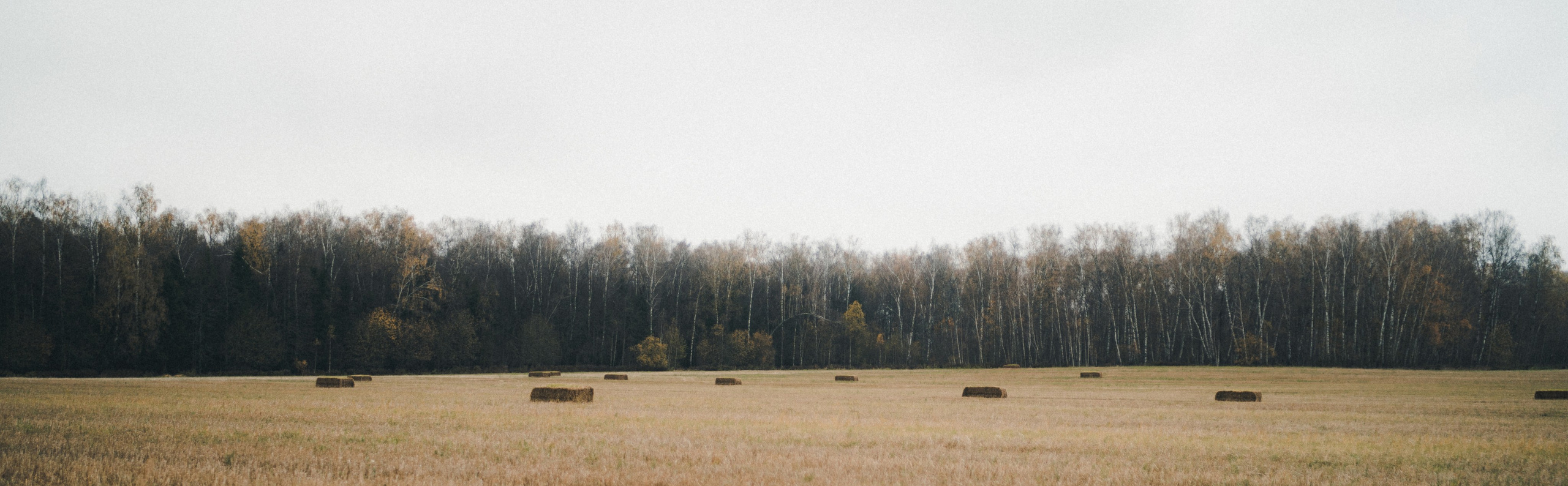 Автомобильная фотосессия Geely Monjaro для Geely Motors. Фотограф Илья К. в Москве